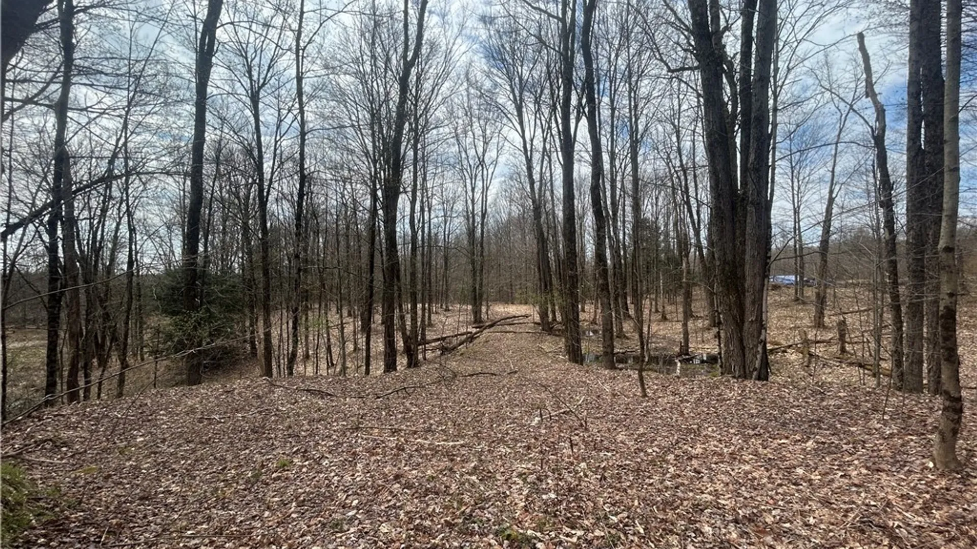 Property at N Hillsborough Road, Amboy, NY 13316 5