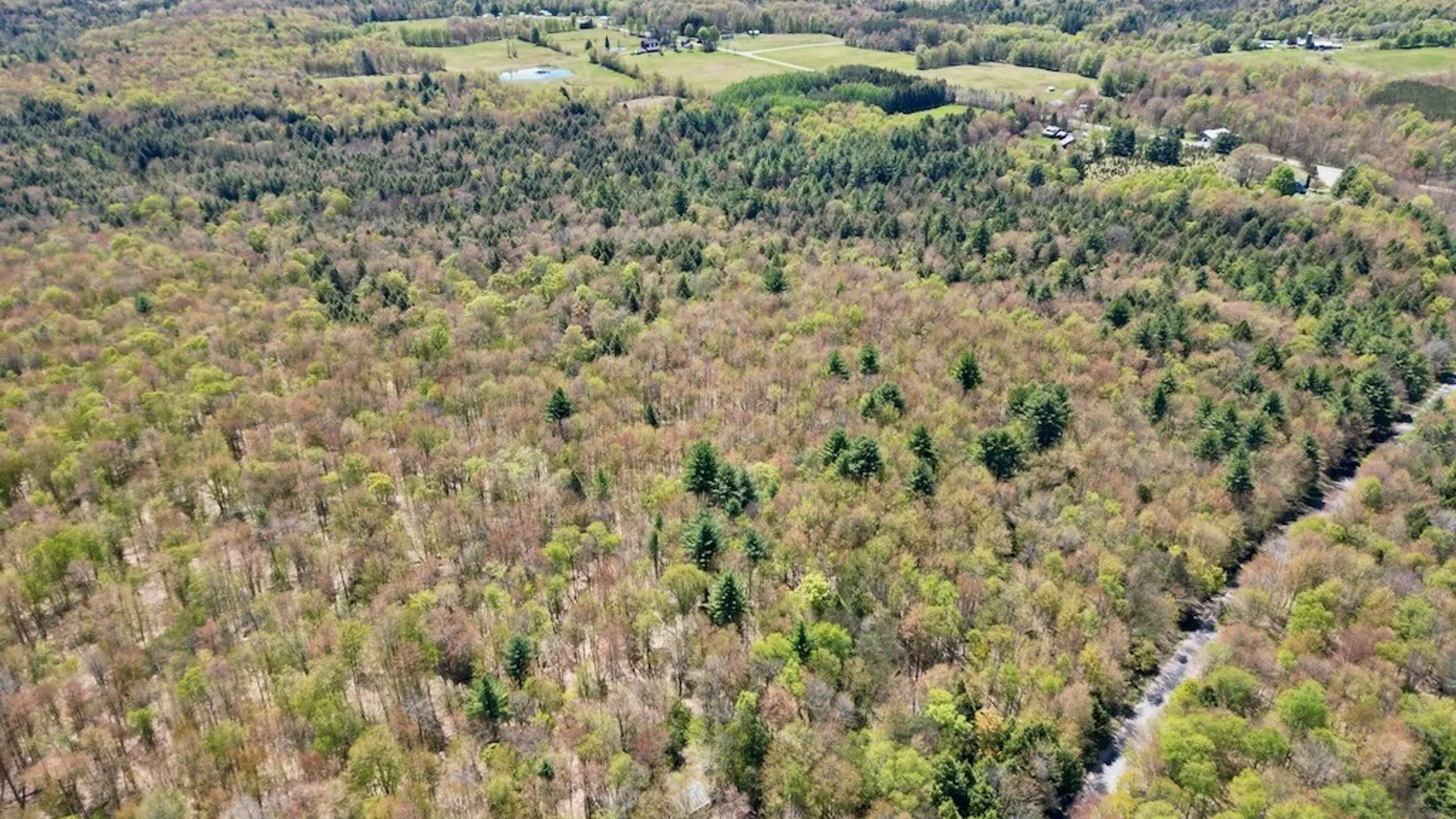 Property at N Hillsborough Road, Amboy, NY 13316 12