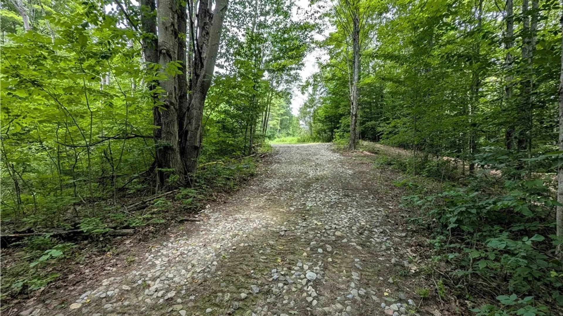 Property at Akins Road, Cohocton, NY 14826 42