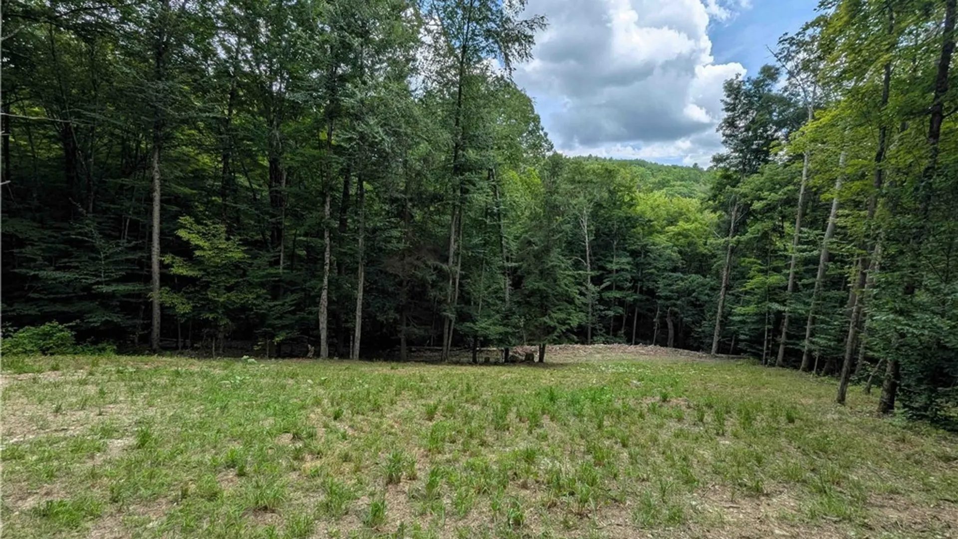 Property at Akins Road, Cohocton, NY 14826 22