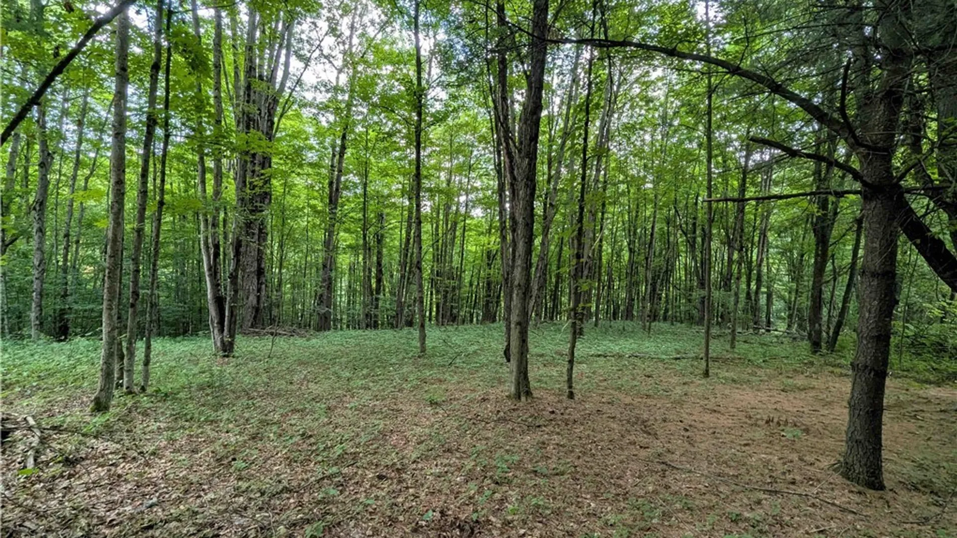 Property at Akins Road, Cohocton, NY 14826 23