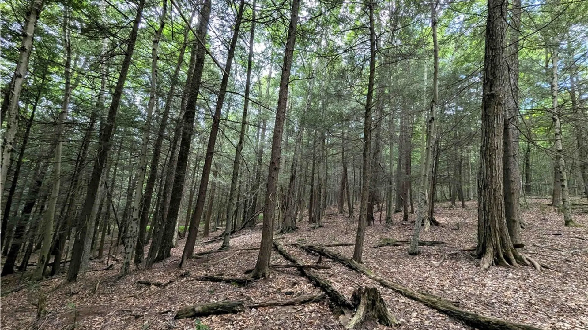Property at Akins Road, Cohocton, NY 14826 24