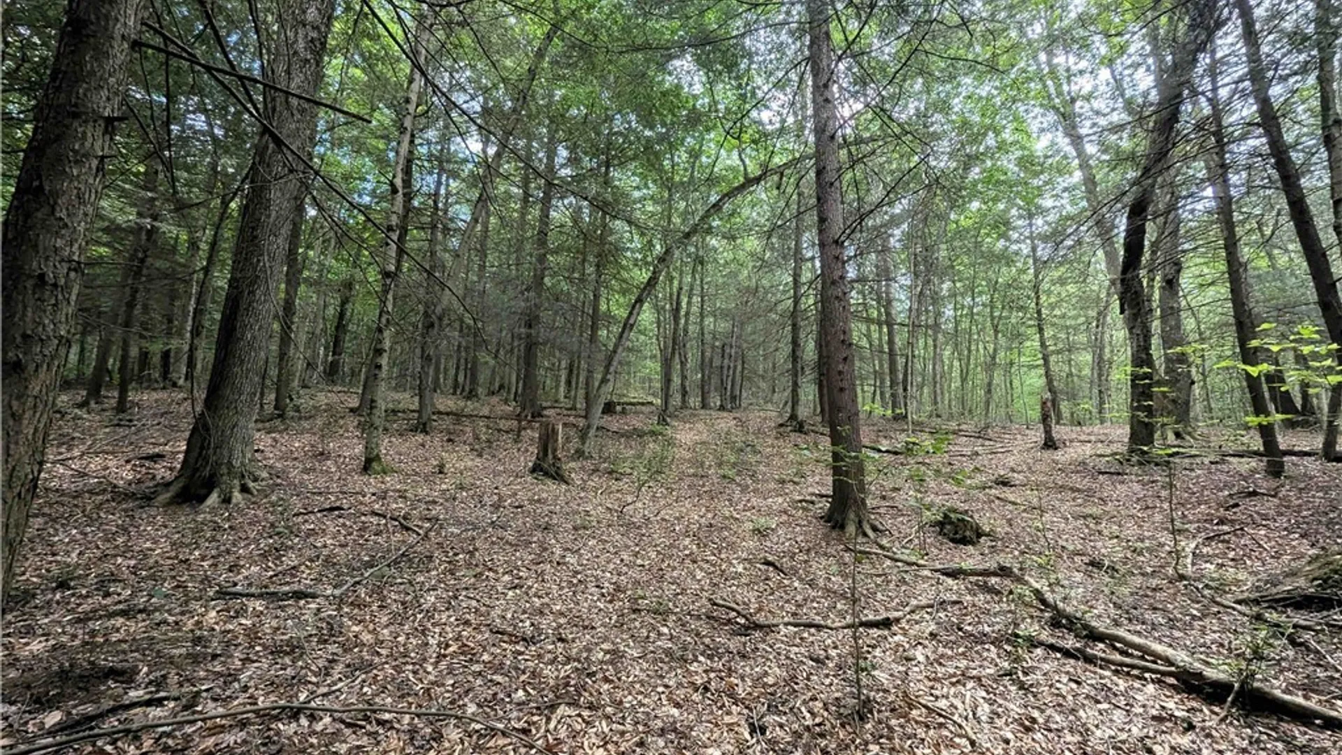 Property at Akins Road, Cohocton, NY 14826 25