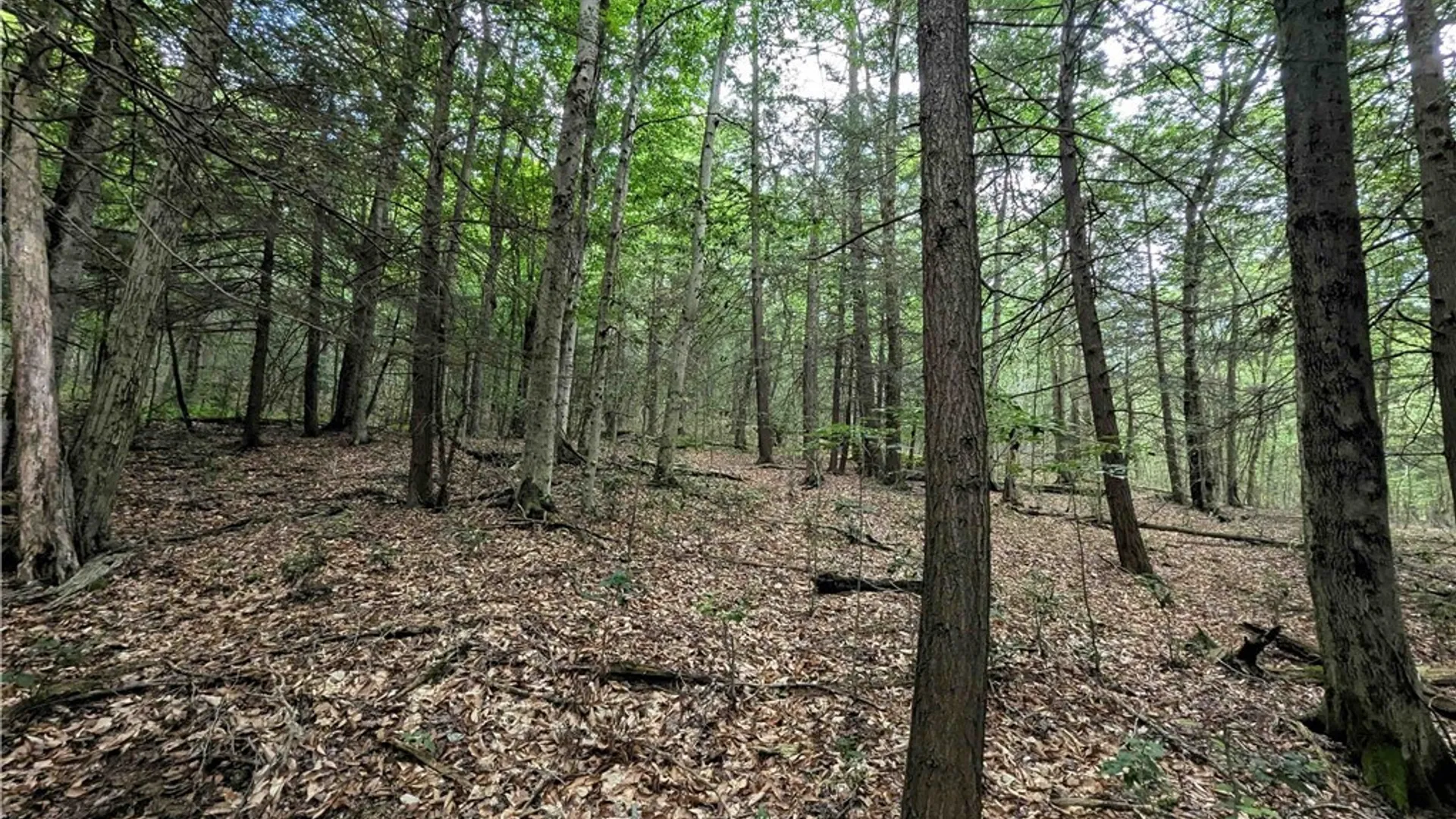 Property at Akins Road, Cohocton, NY 14826 26