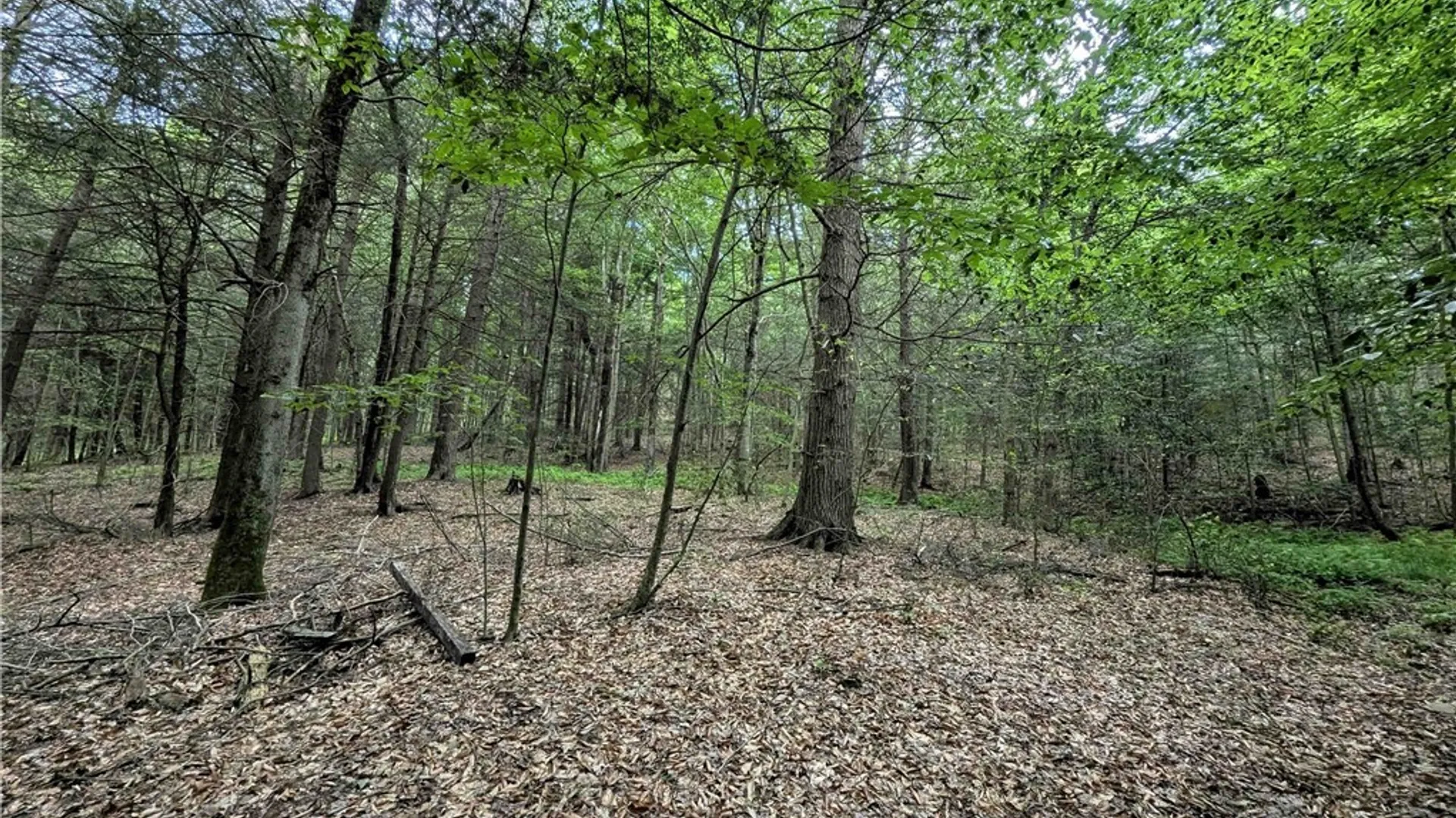 Property at Akins Road, Cohocton, NY 14826 27