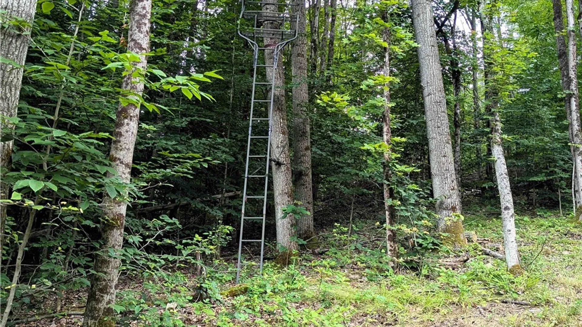 Property at Akins Road, Cohocton, NY 14826 29