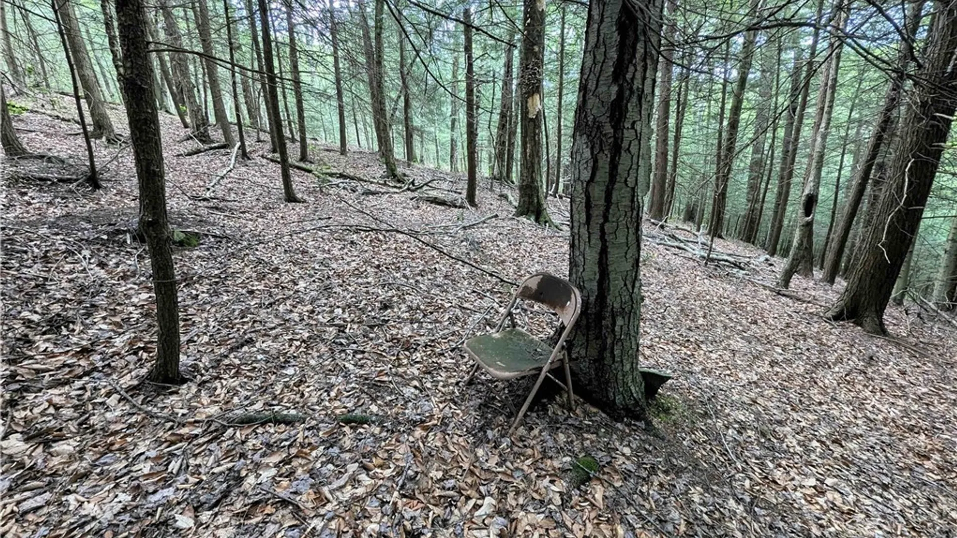 Property at Akins Road, Cohocton, NY 14826 33