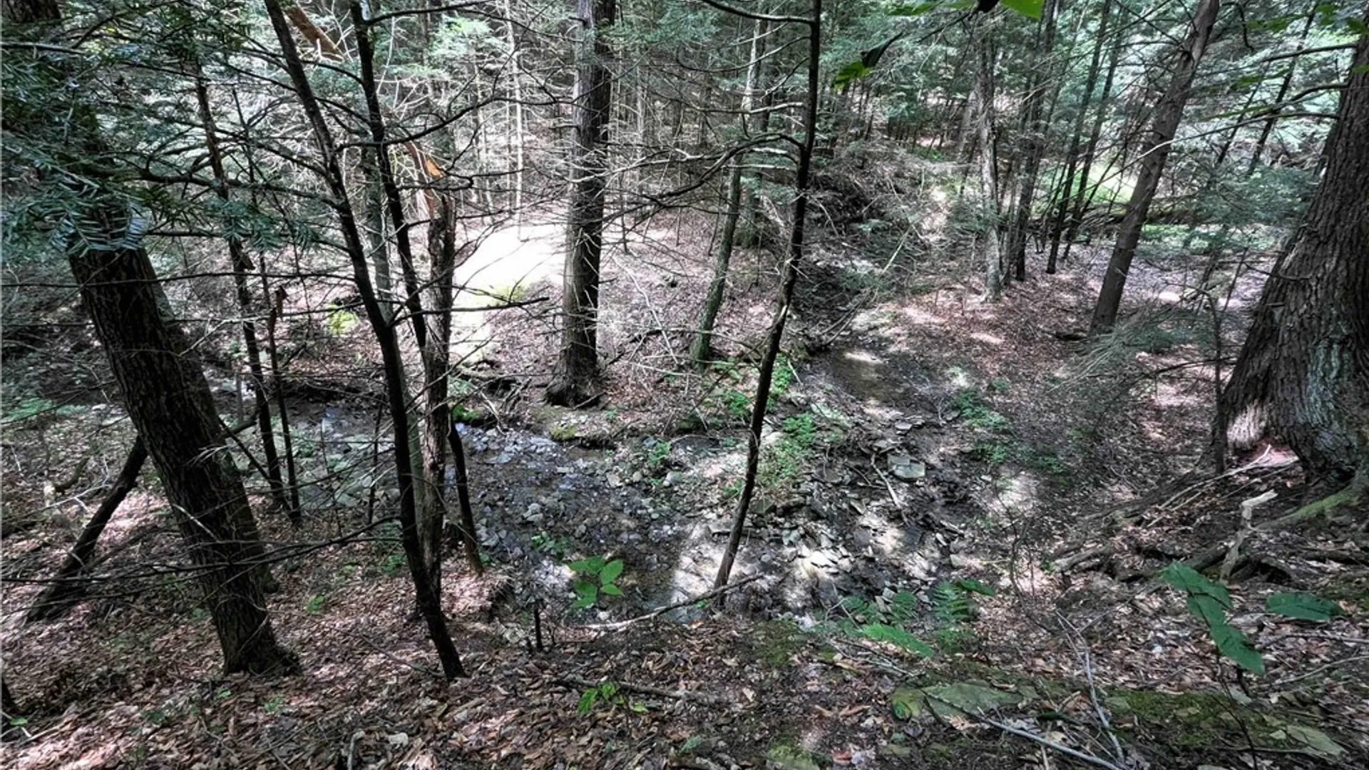 Property at Akins Road, Cohocton, NY 14826 34