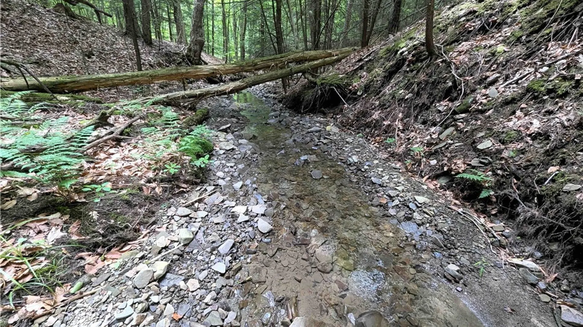 Property at Akins Road, Cohocton, NY 14826 35