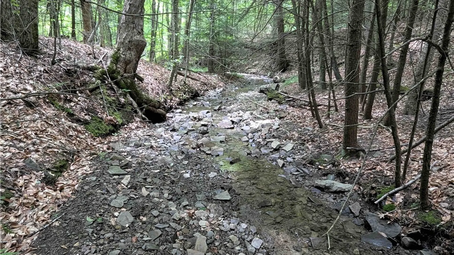 Property at Akins Road, Cohocton, NY 14826 36