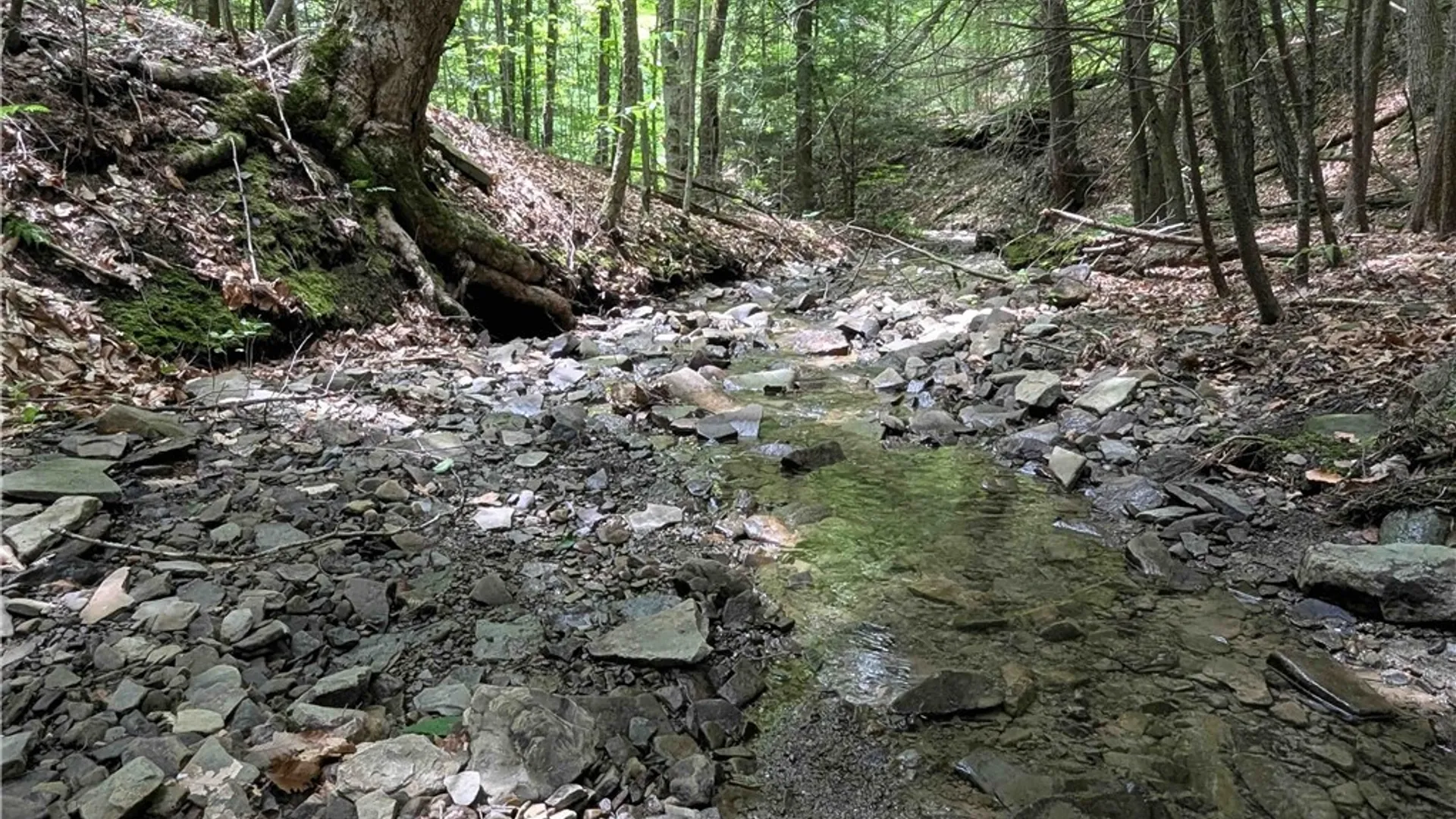 Property at Akins Road, Cohocton, NY 14826 37