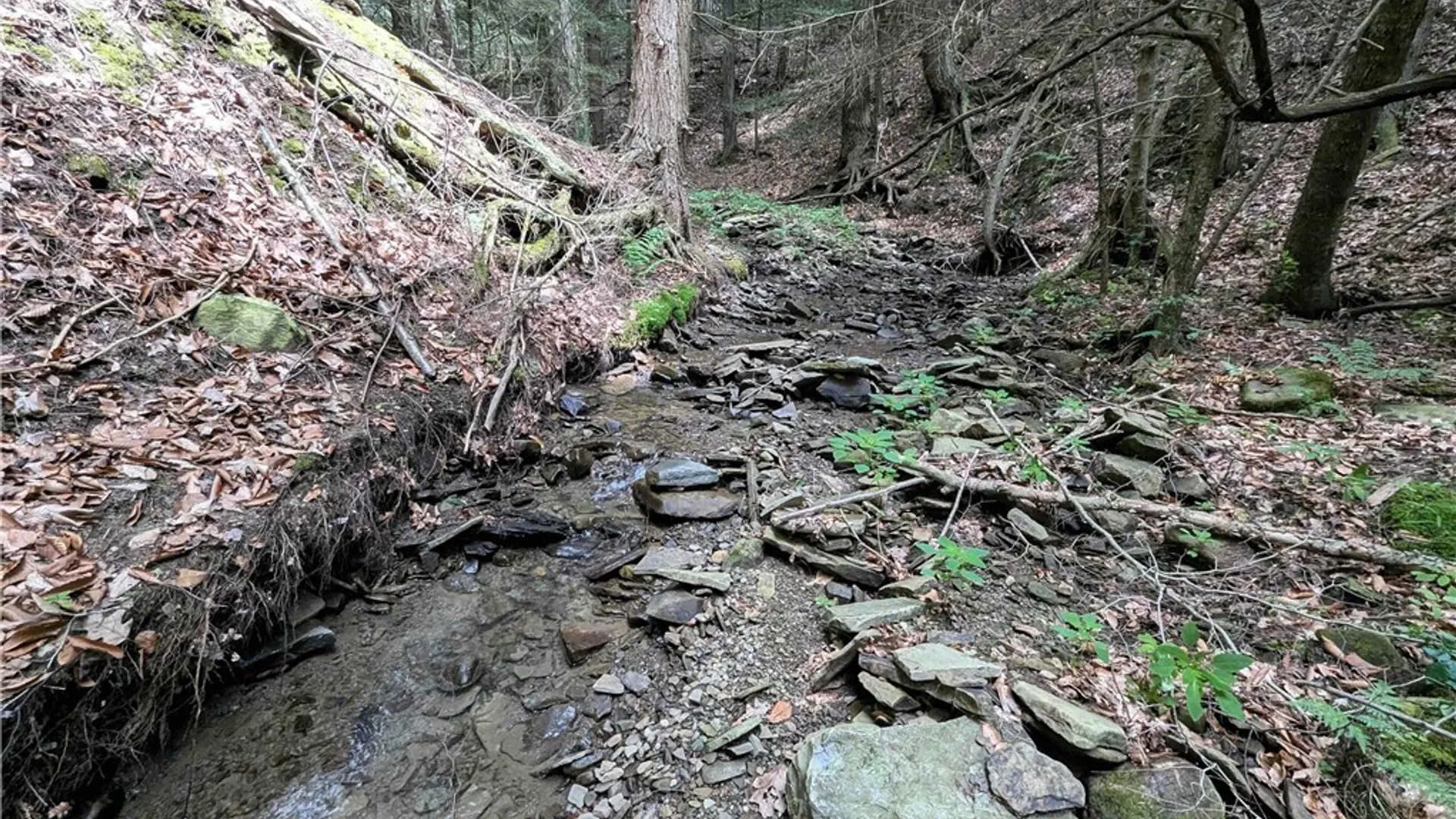 Property at Akins Road, Cohocton, NY 14826 38