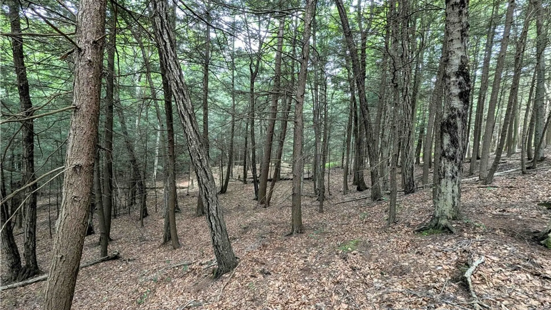 Property at Akins Road, Cohocton, NY 14826 39
