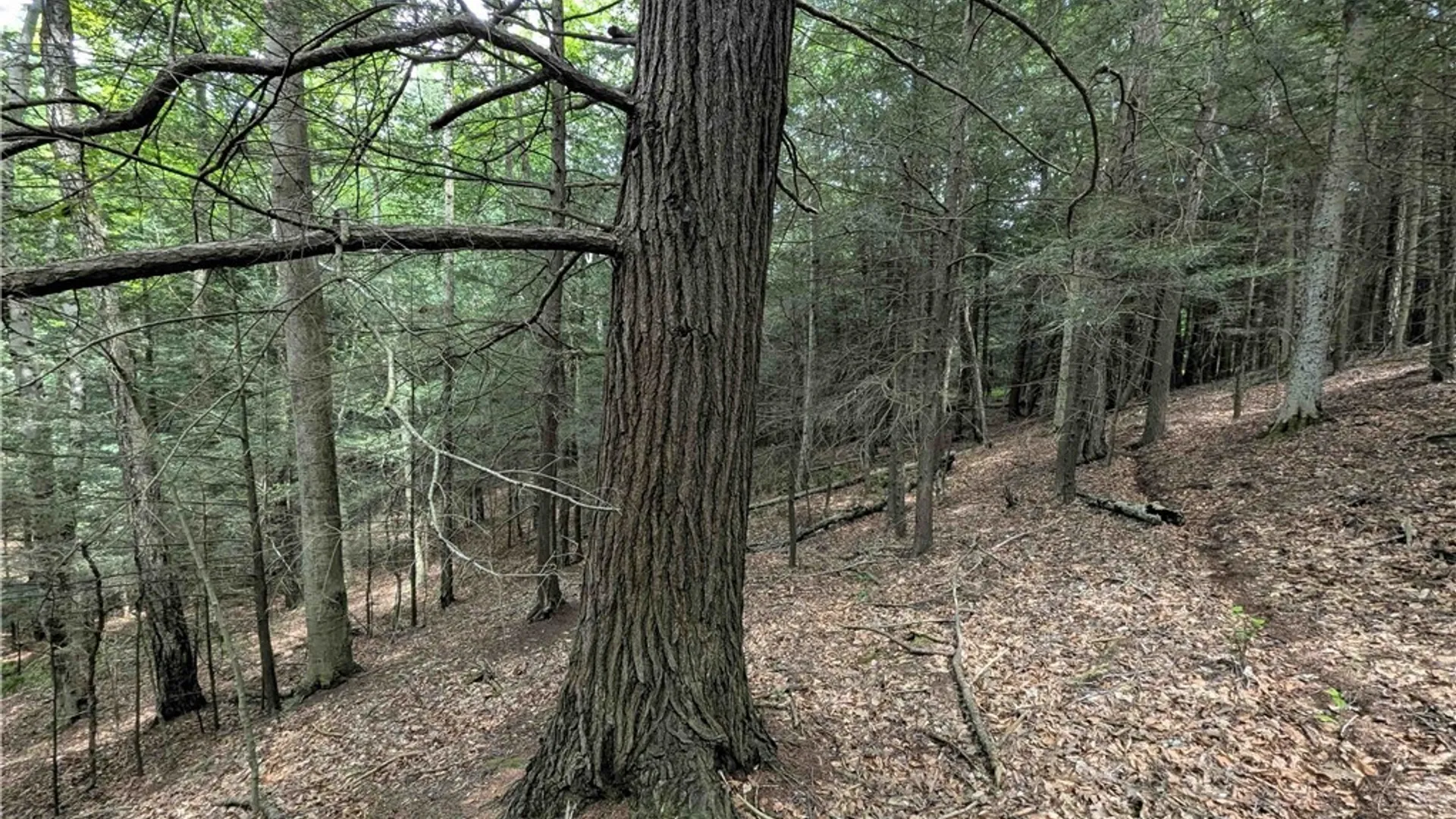 Property at Akins Road, Cohocton, NY 14826 40