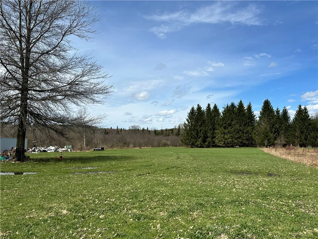 Property at 3239 Route 39, Eagle, NY 14024