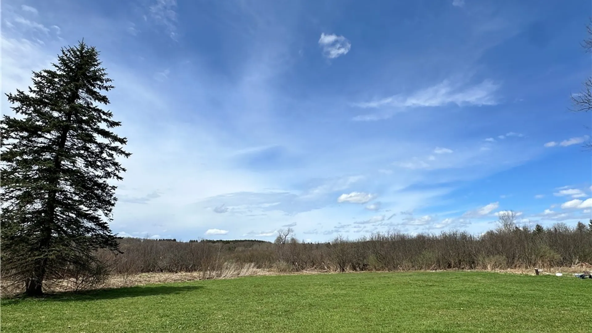 Property at 3239 Route 39, Eagle, NY 14024 3