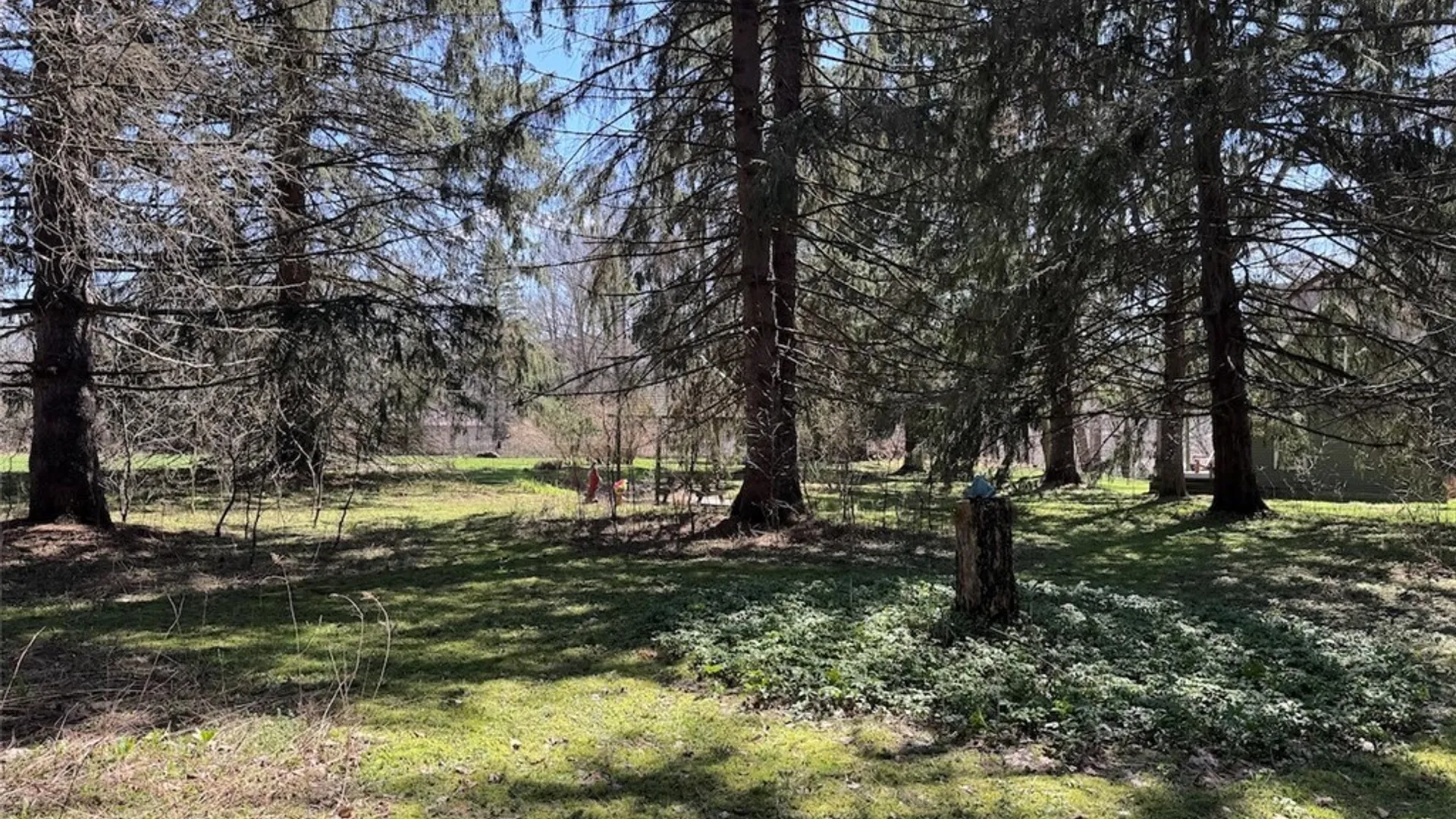 Property at 83 High Street, Angelica, NY 14709 29