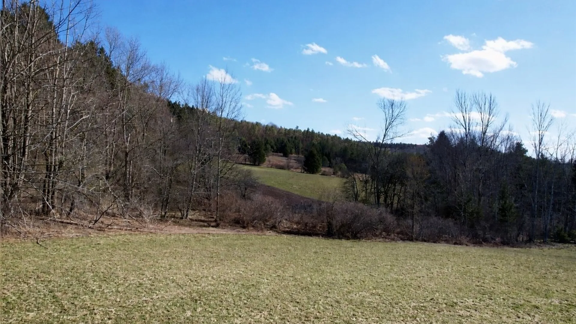 Property at 166 Springer Road, Lincklaen, NY 13052 4