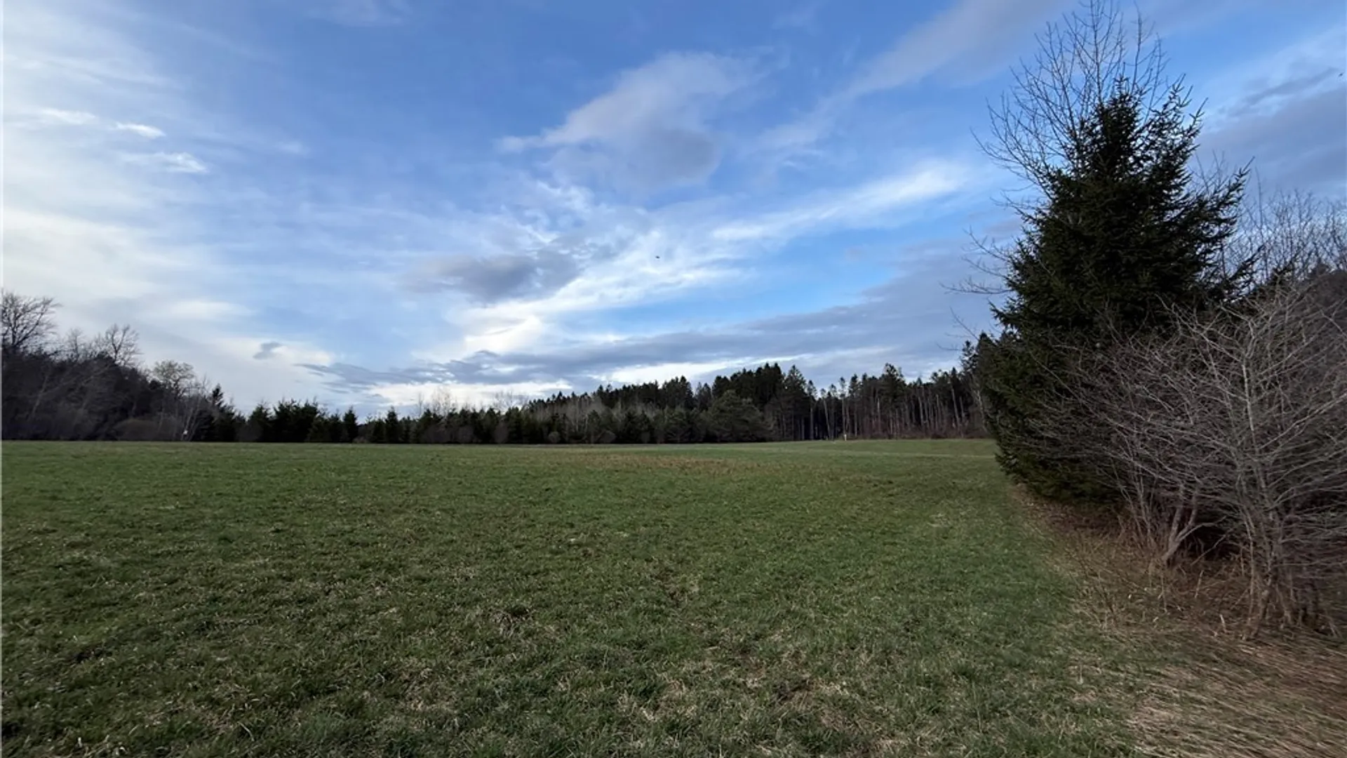 Property at 166 Springer Road, Lincklaen, NY 13052 9