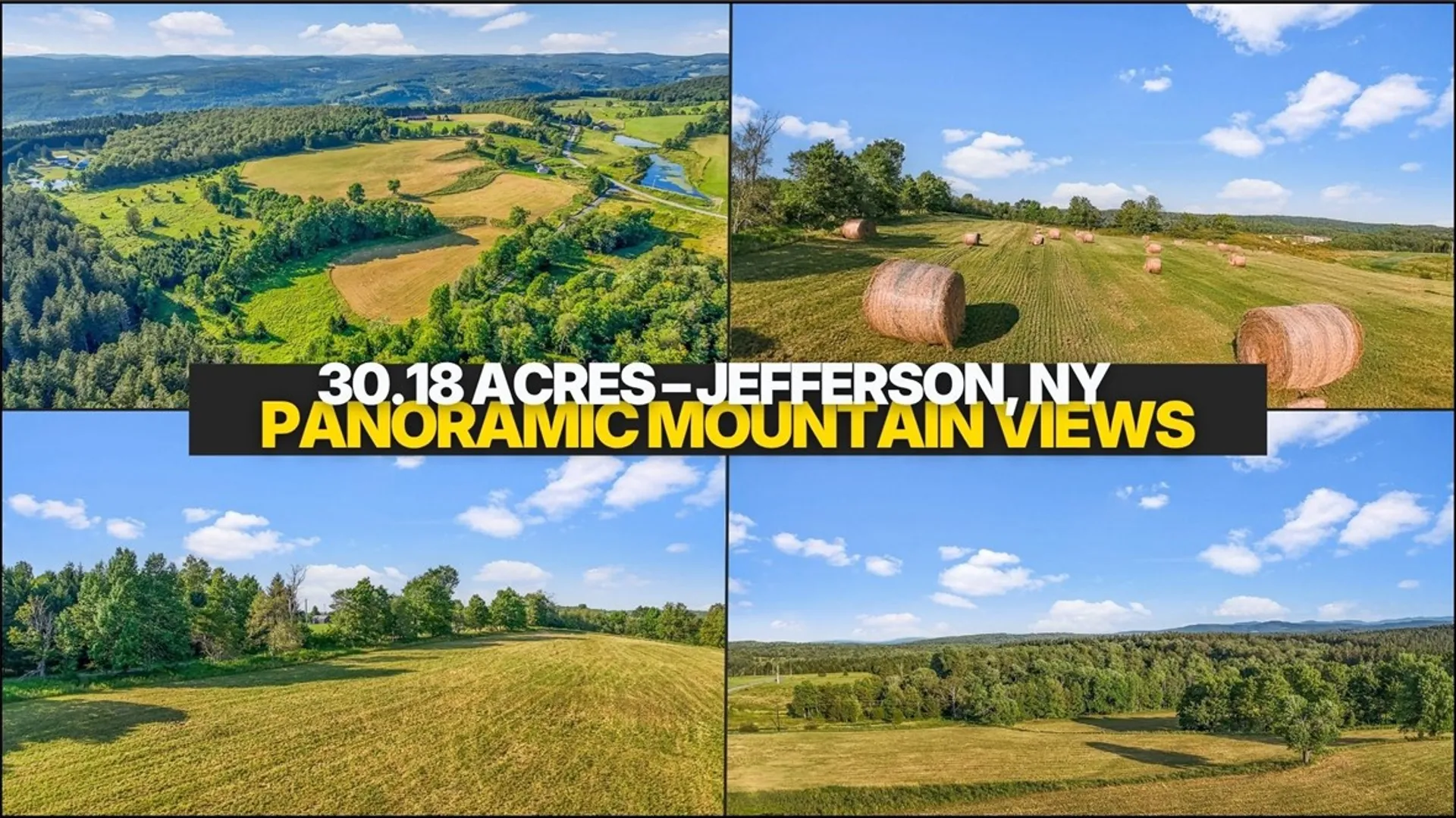 Property at 137 Stone Ridge Drive, Jefferson, NY 12036 2