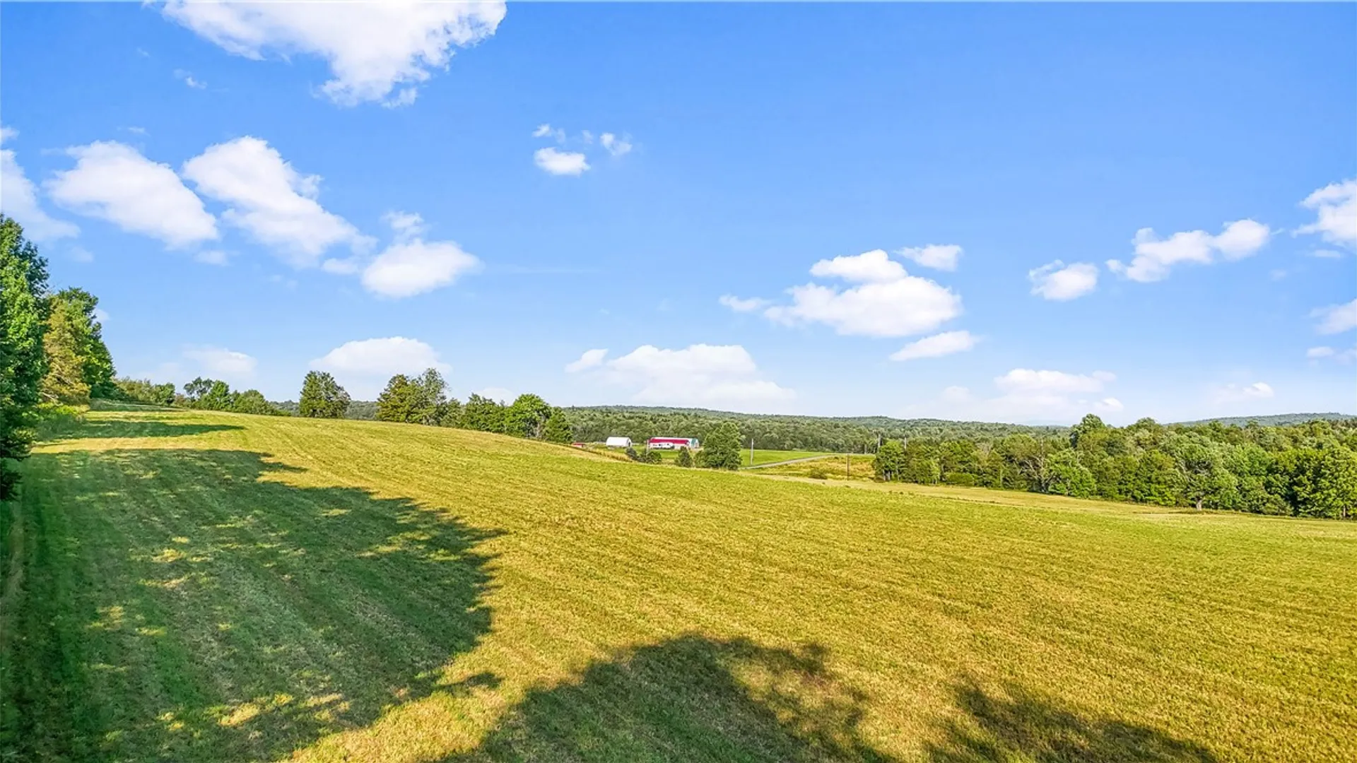 Property at 137 Stone Ridge Drive, Jefferson, NY 12036 12