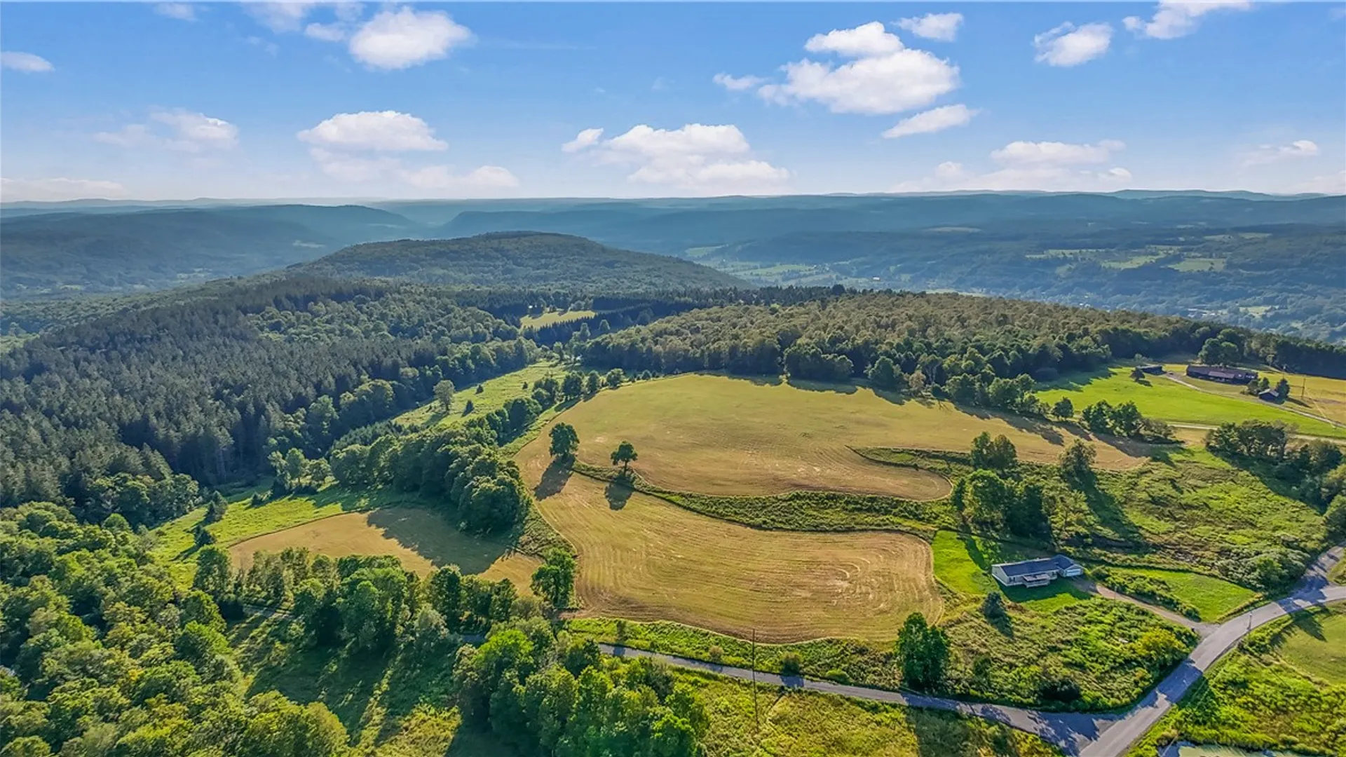 Property at 137 Stone Ridge Drive, Jefferson, NY 12036 16