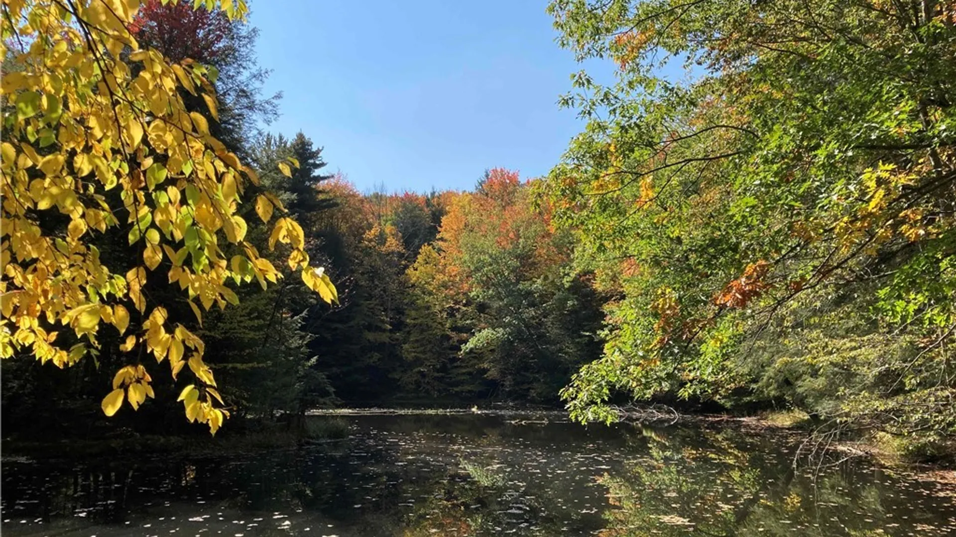 Property at 2741 Smith Hollow Road, Hinsdale, NY 14760 23