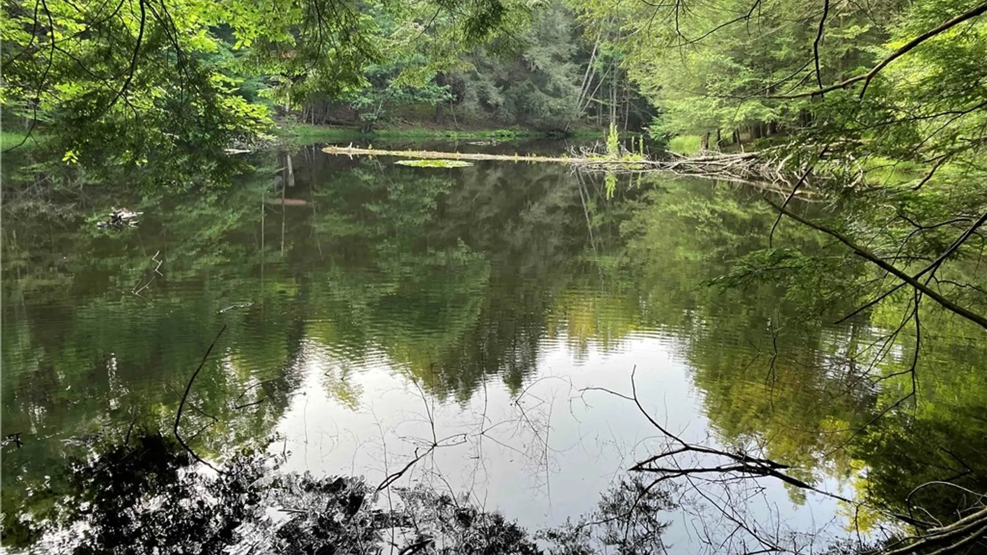 Property at 2741 Smith Hollow Road, Hinsdale, NY 14760 24