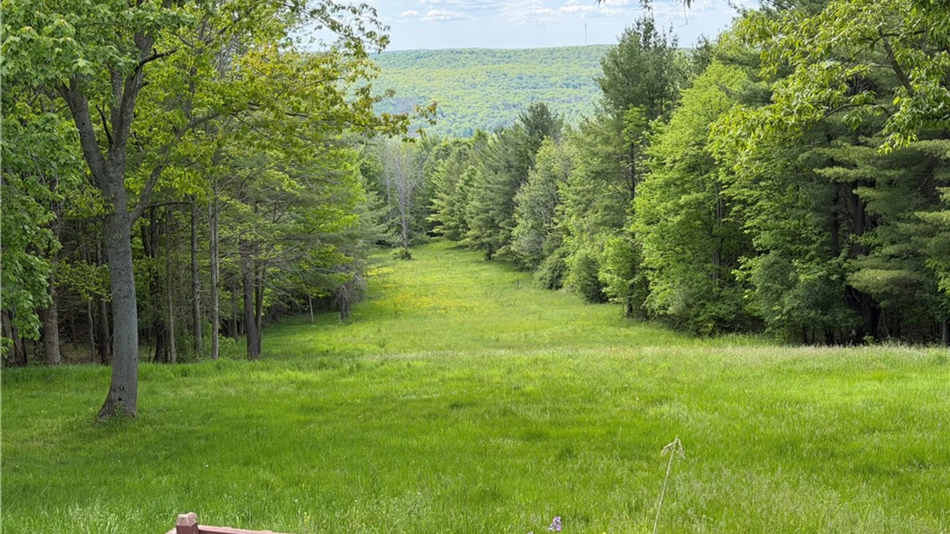 Property at 6943 Howard Road, Friendship, NY 14739 45