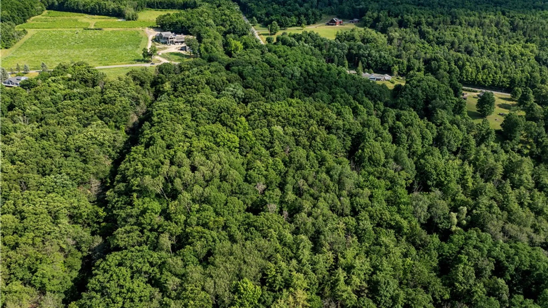 Property at County Route 87 Road, Urbana, NY 14840 5