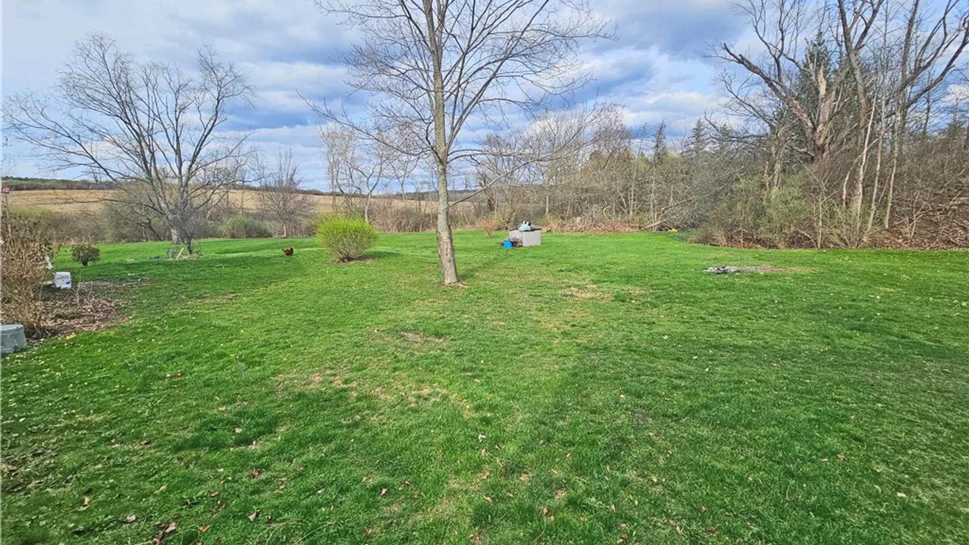 Property at 114 Terry Hill Road, Veteran, NY 14845 10