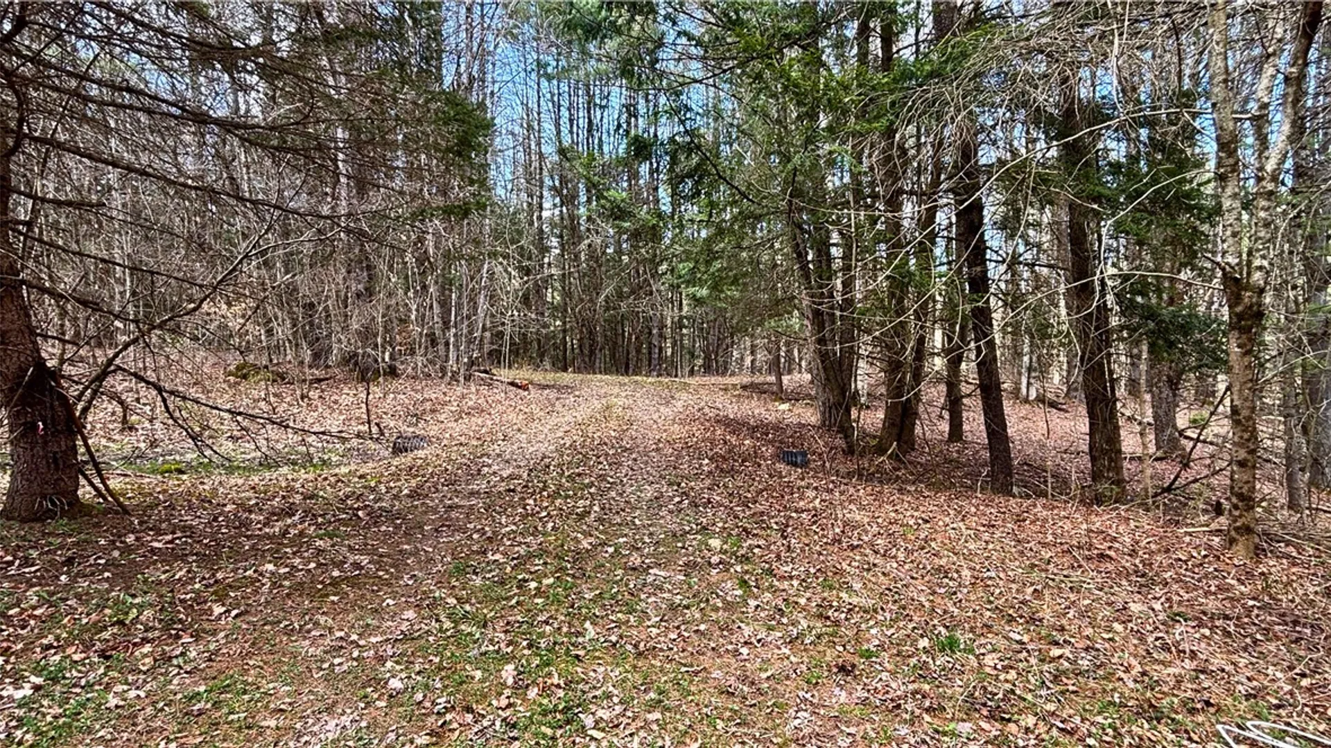Property at Lot 6.15 Little Beaver Creek Lane, Blenheim, NY 12093 3
