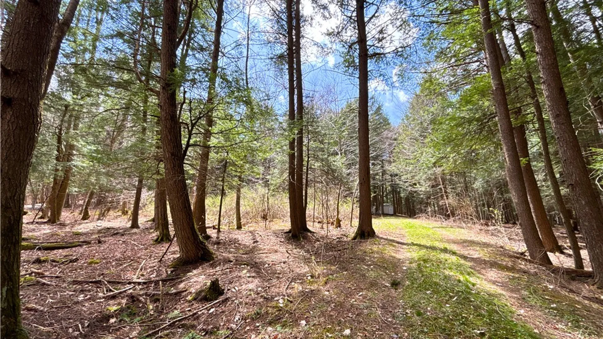 Property at Lot 6.15 Little Beaver Creek Lane, Blenheim, NY 12093 4