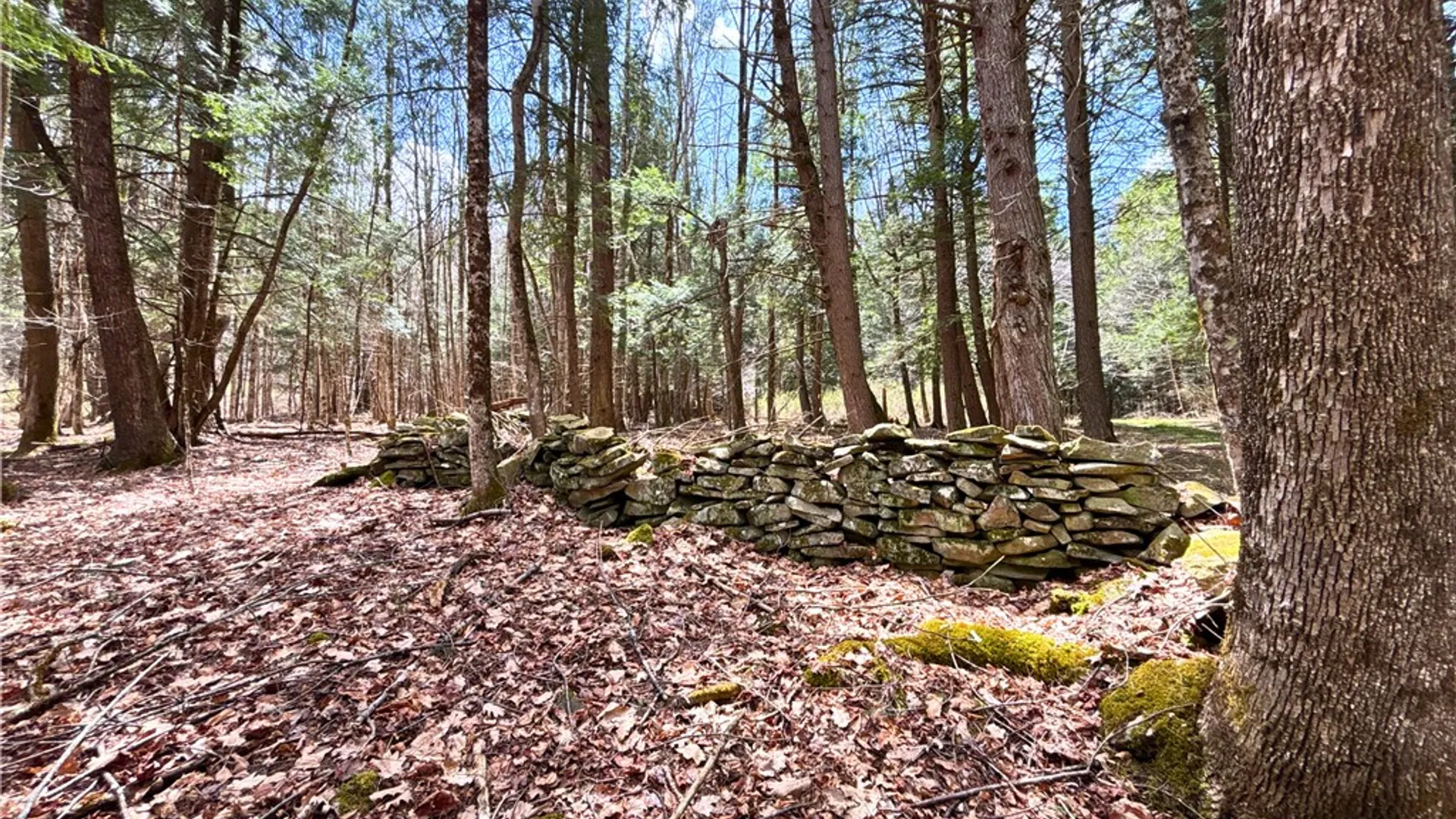 Property at Lot 6.15 Little Beaver Creek Lane, Blenheim, NY 12093 5