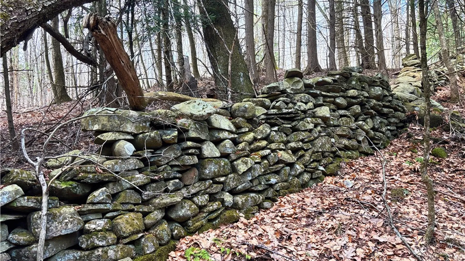 Property at Lot 6.15 Little Beaver Creek Lane, Blenheim, NY 12093 6