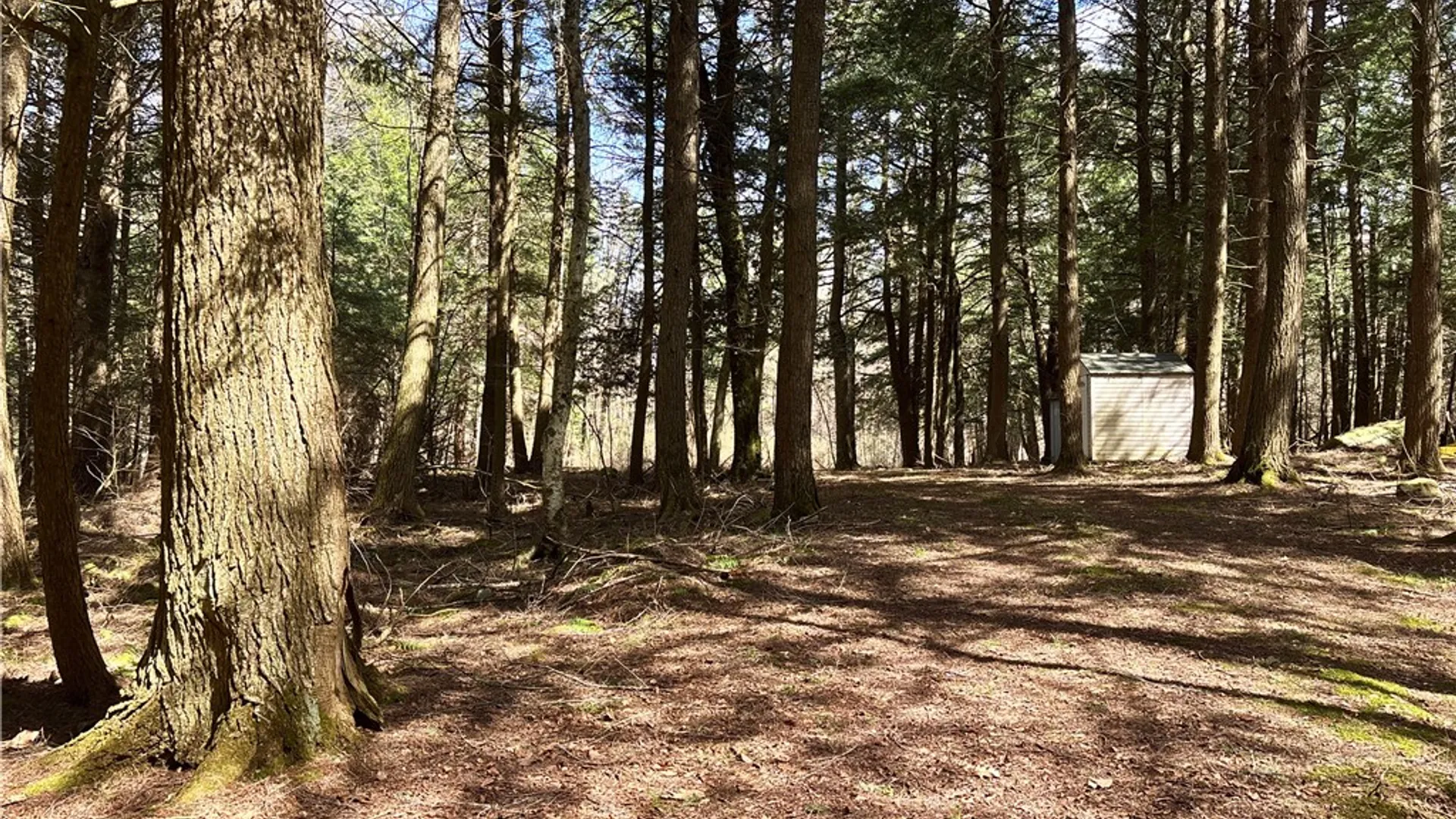 Property at Lot 6.15 Little Beaver Creek Lane, Blenheim, NY 12093 7