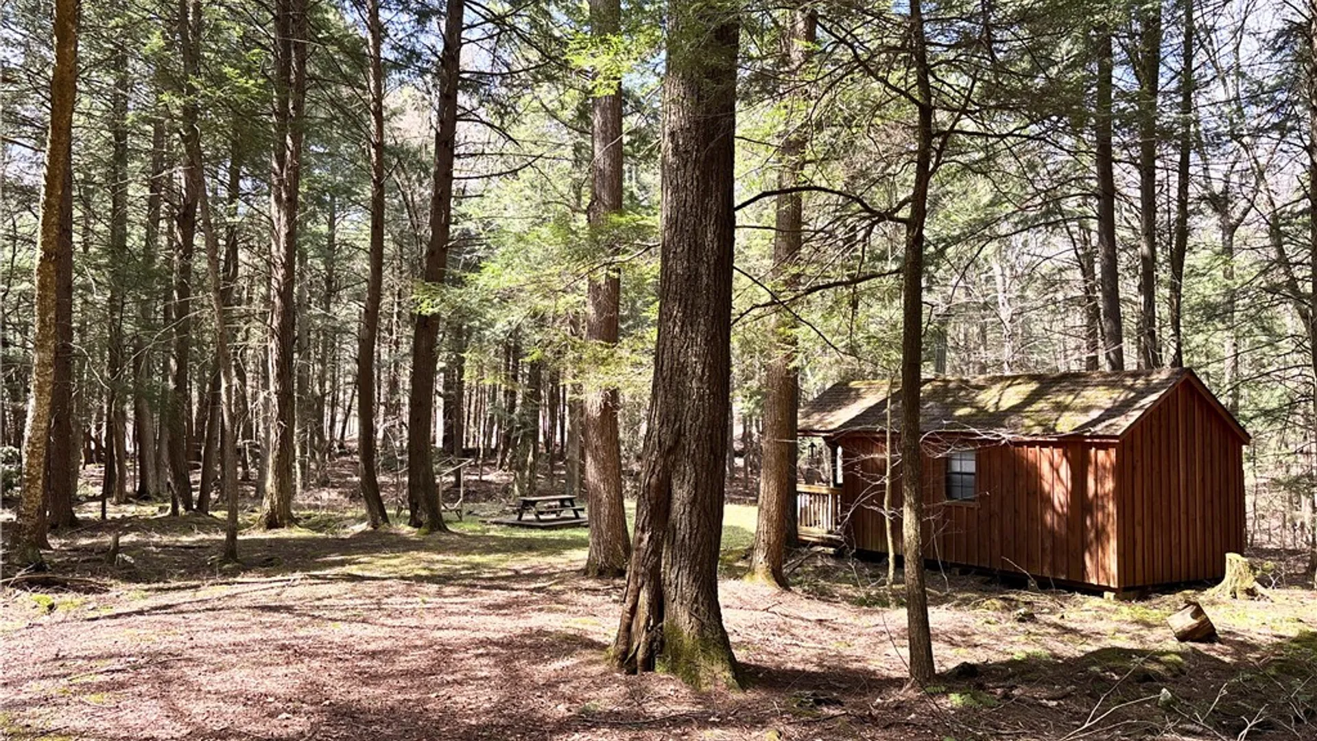 Property at Lot 6.15 Little Beaver Creek Lane, Blenheim, NY 12093 10