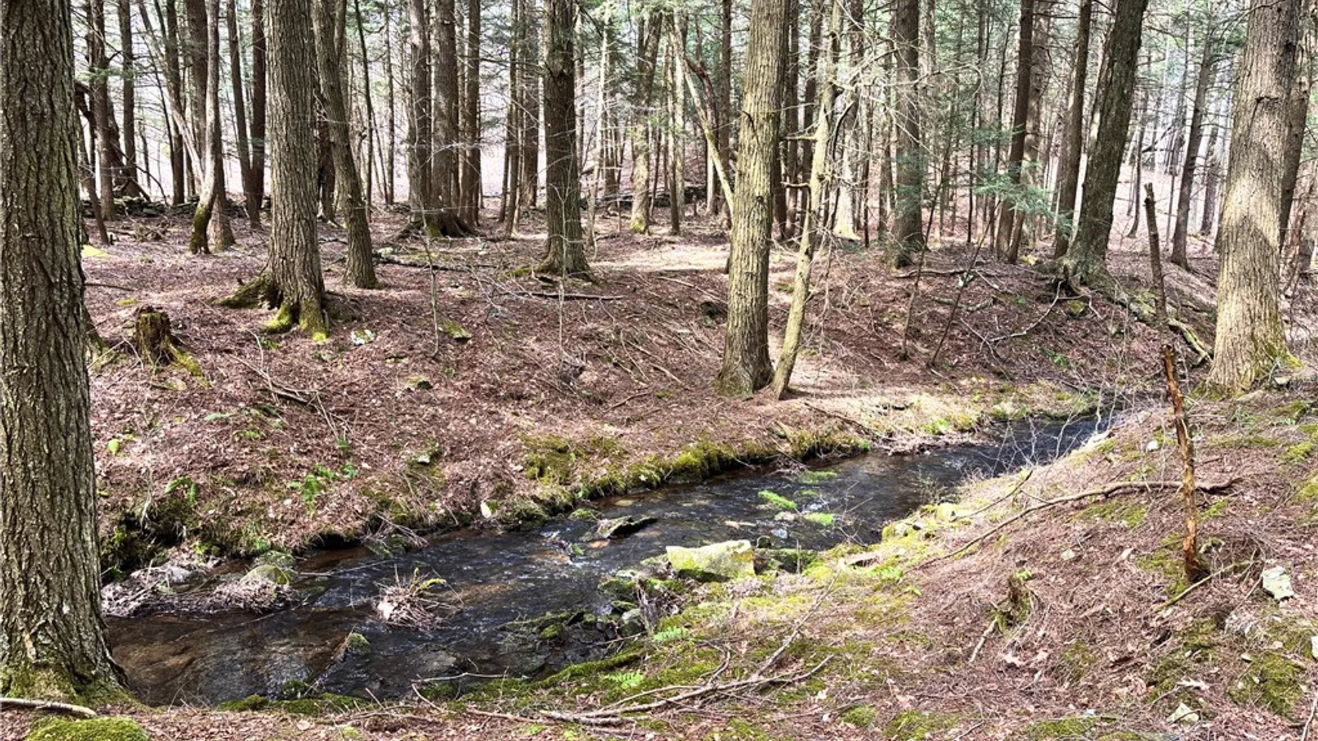 Property at Lot 6.15 Little Beaver Creek Lane, Blenheim, NY 12093 21