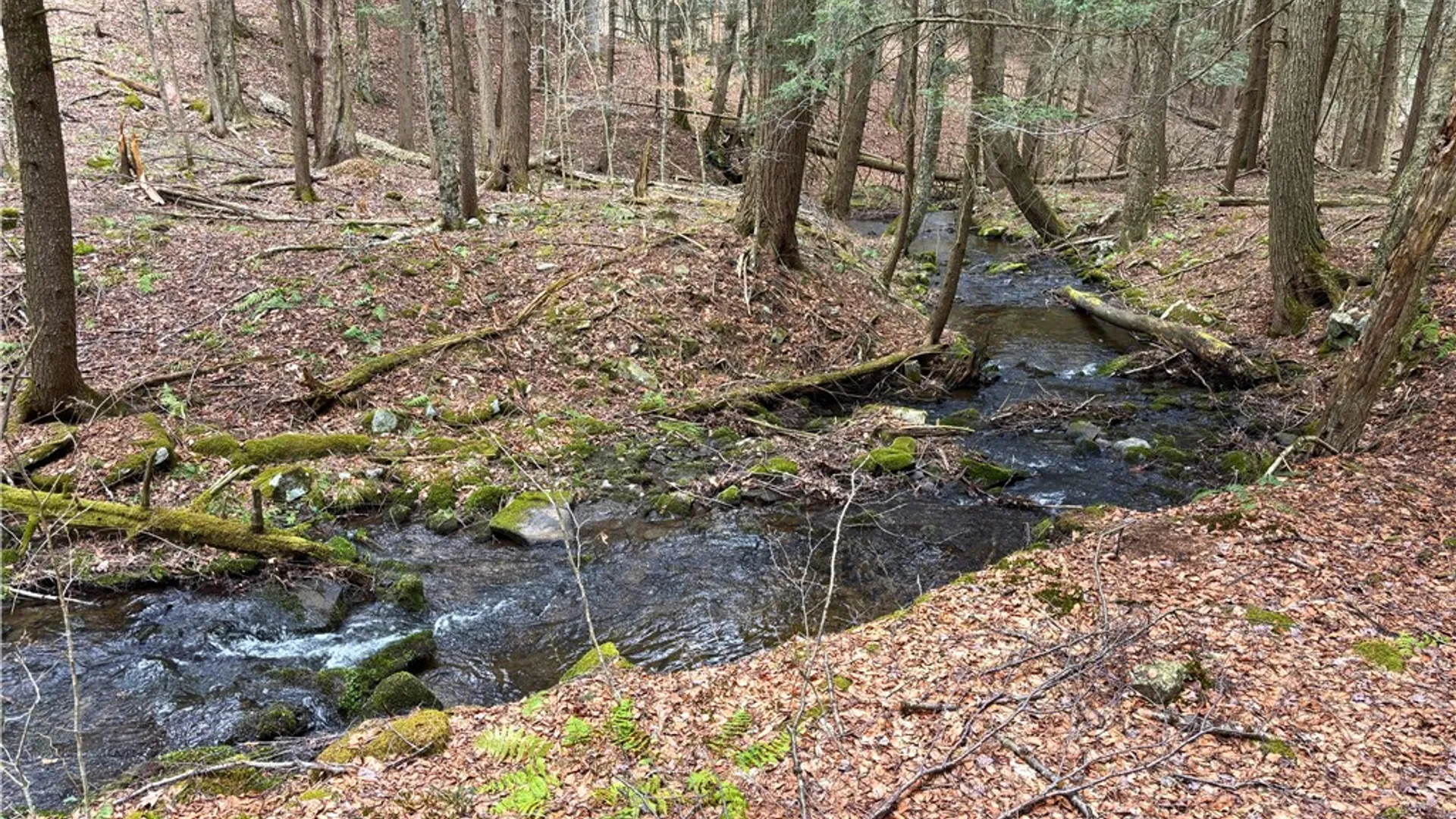 Property at Lot 6.15 Little Beaver Creek Lane, Blenheim, NY 12093 22