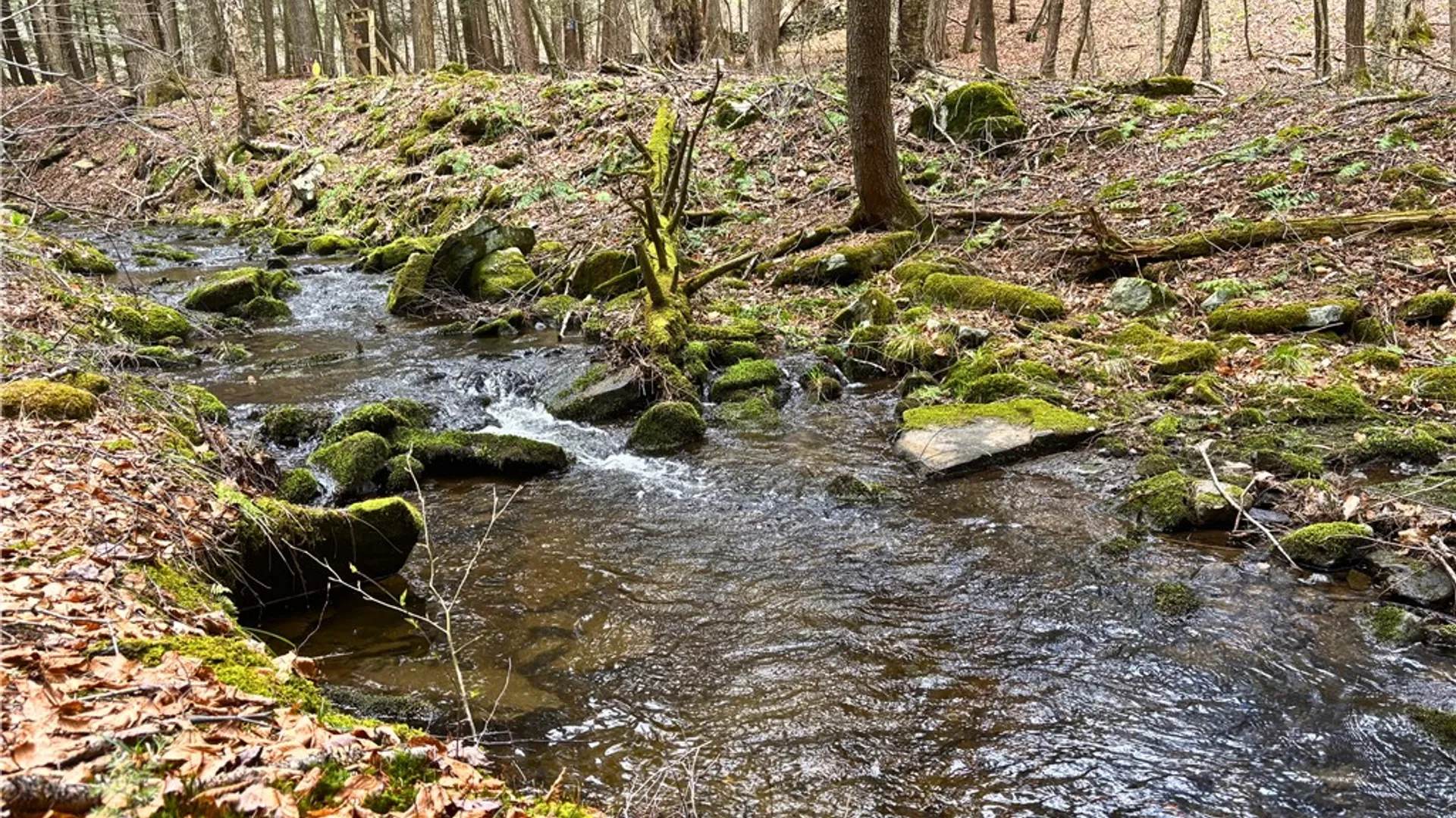 Property at Lot 6.15 Little Beaver Creek Lane, Blenheim, NY 12093 23