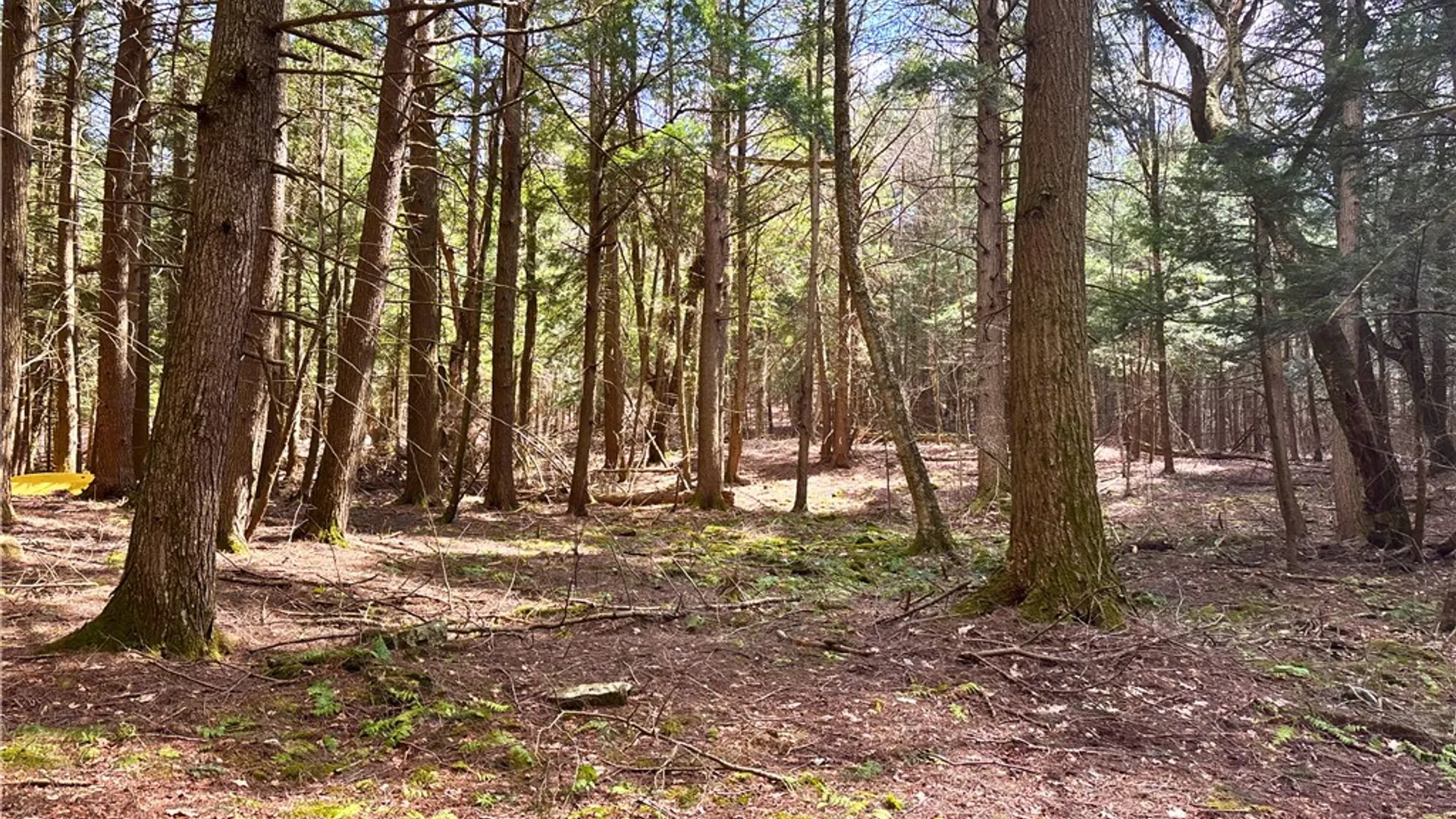 Property at Lot 6.15 Little Beaver Creek Lane, Blenheim, NY 12093 25