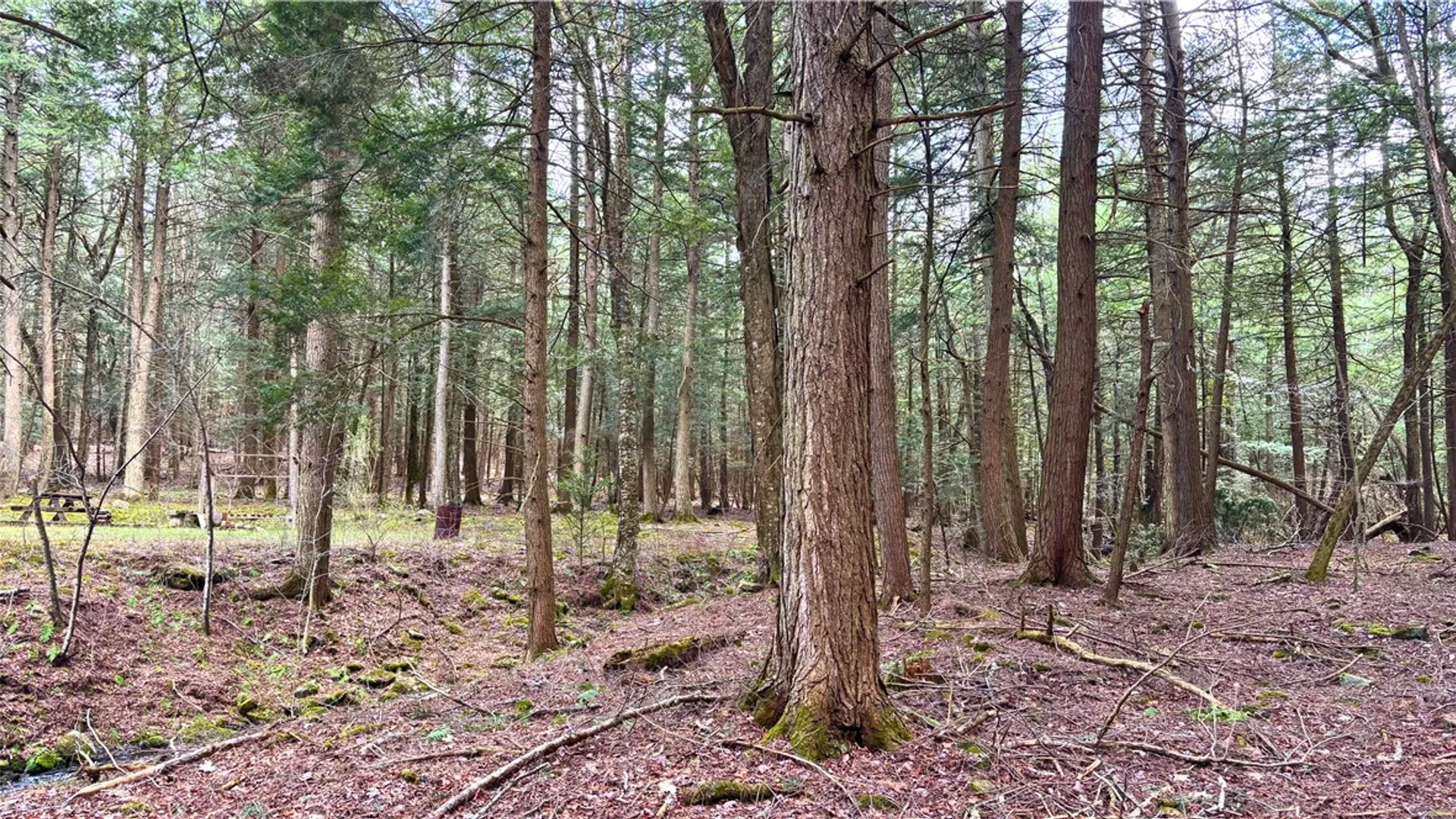 Property at Lot 6.15 Little Beaver Creek Lane, Blenheim, NY 12093 26
