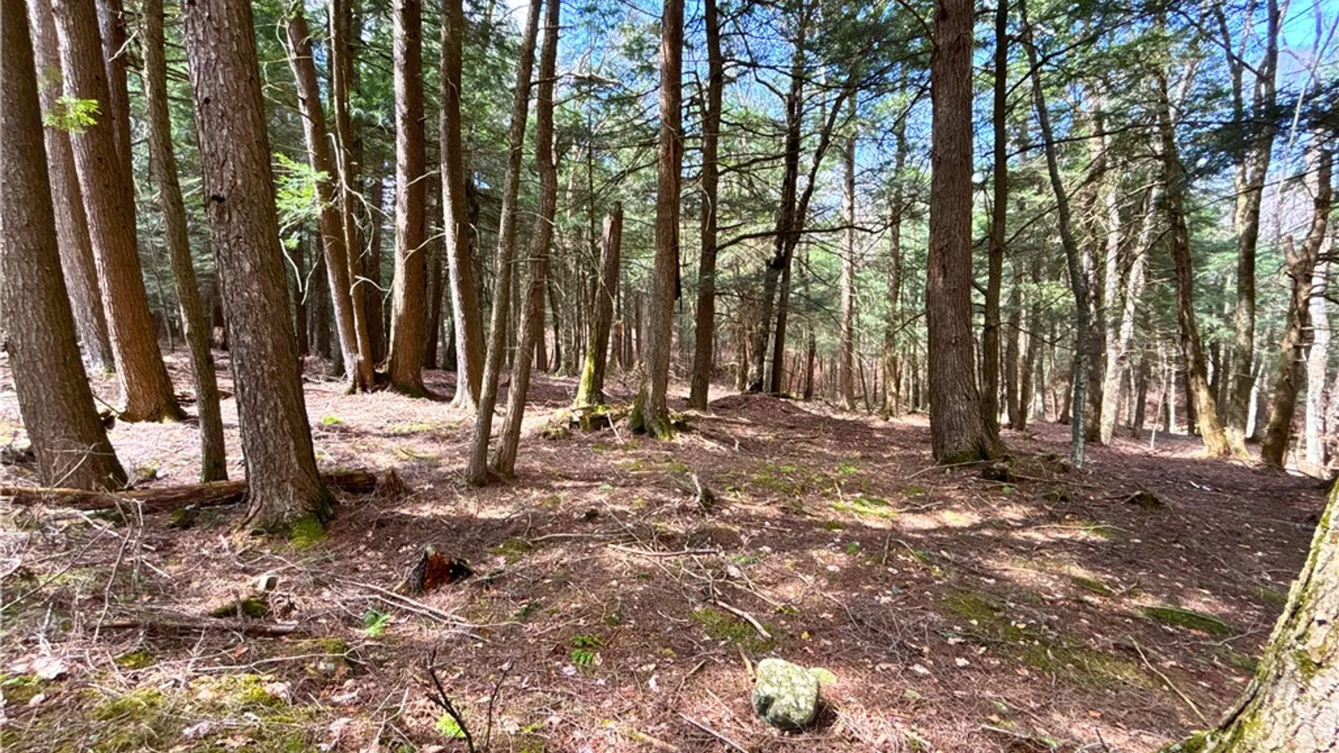 Property at Lot 6.15 Little Beaver Creek Lane, Blenheim, NY 12093 27
