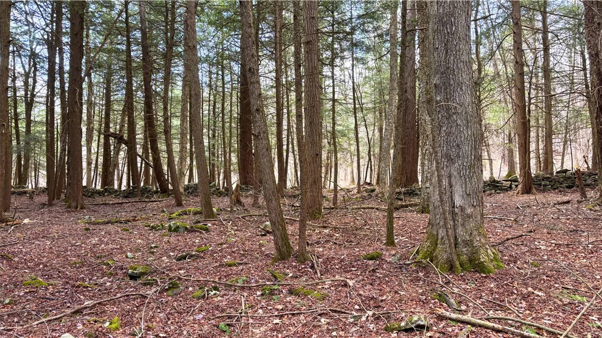 Property at Lot 6.15 Little Beaver Creek Lane, Blenheim, NY 12093 28