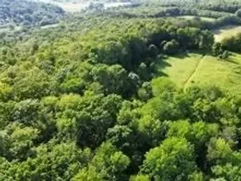 Property at County Highway 6, Otego, NY 13825