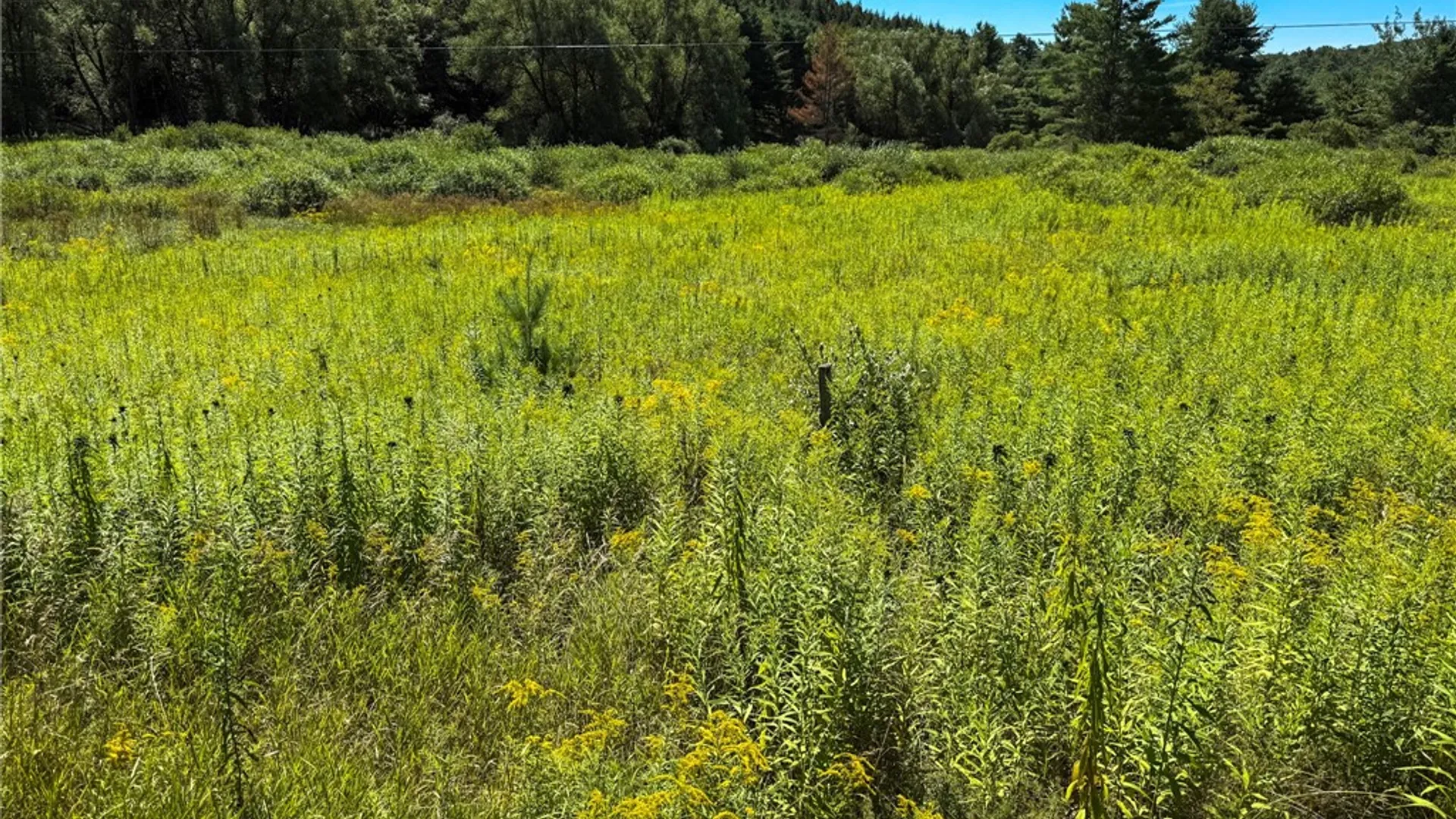 Property at 6 County Highway 12, Laurens, NY 13796 20