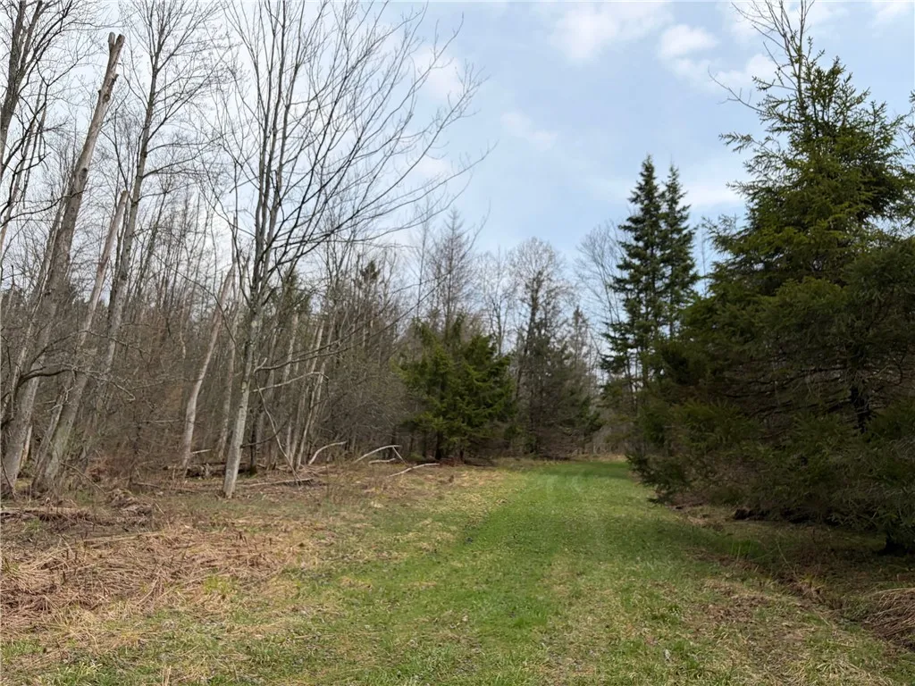 Property at West Hill Road, Ellington, NY 14740