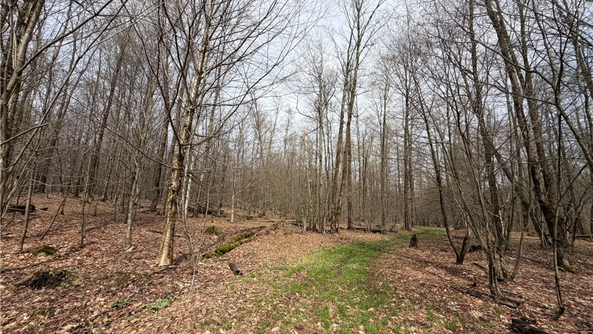 Property at West Hill Road, Ellington, NY 14740 3