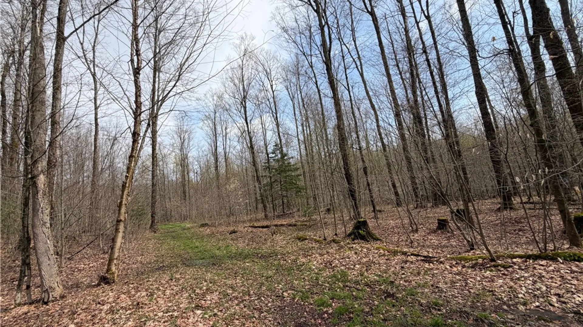 Property at West Hill Road, Ellington, NY 14740 5