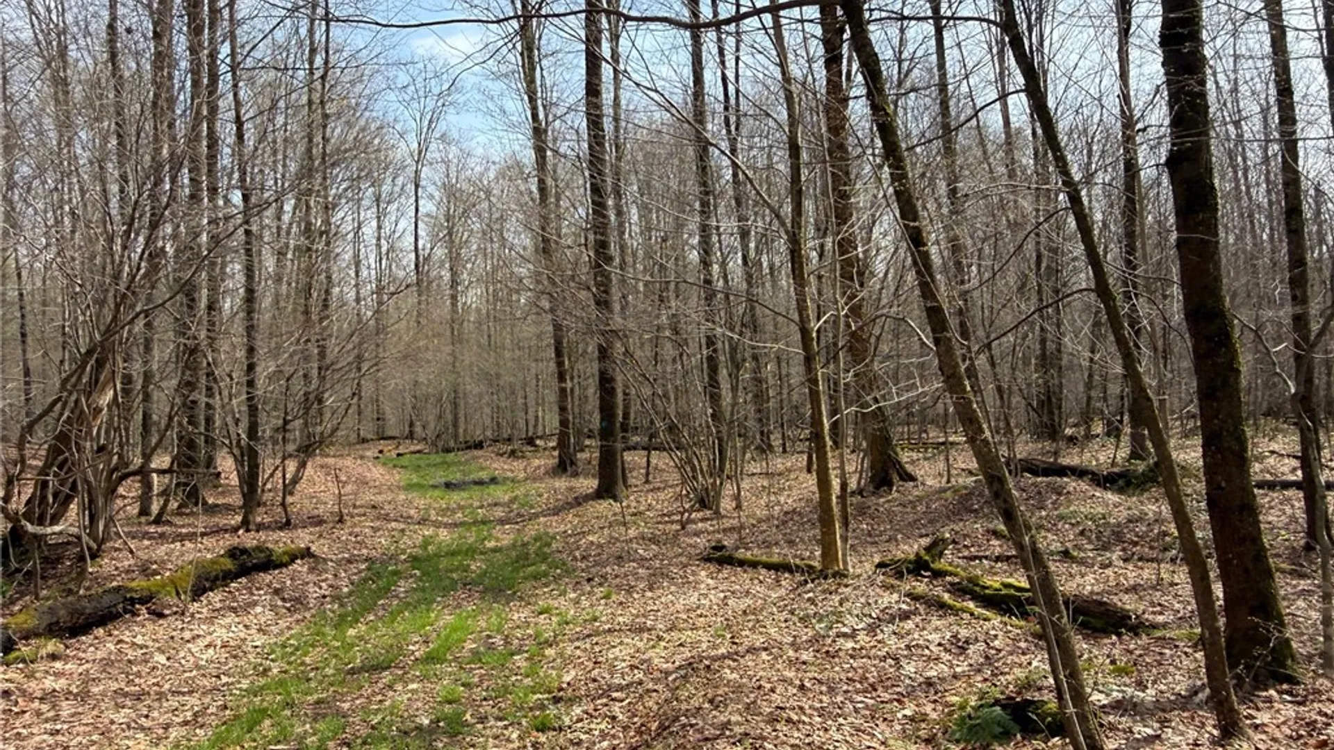 Property at West Hill Road, Ellington, NY 14740 6